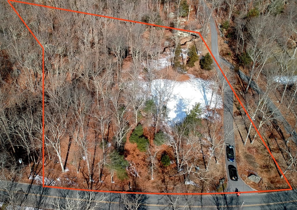 24 Danforth Street Rehoboth, MA 02769 - Photo 13 of 13 a view of outdoor space with lots of trees