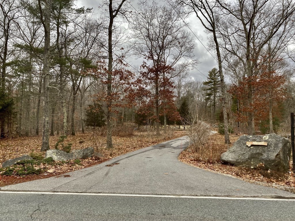 24 Danforth Street Rehoboth, MA 02769 - Photo 4 of 13 a view of a yard with large trees
