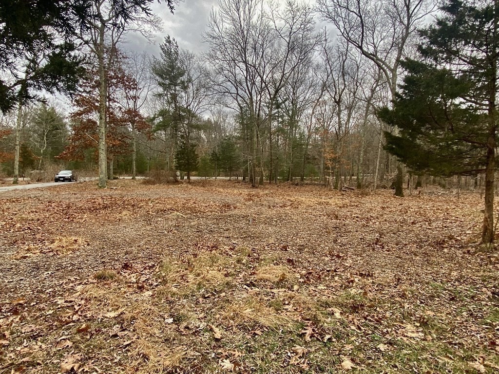 24 Danforth Street Rehoboth, MA 02769 - Photo 5 of 13 a backyard of a house