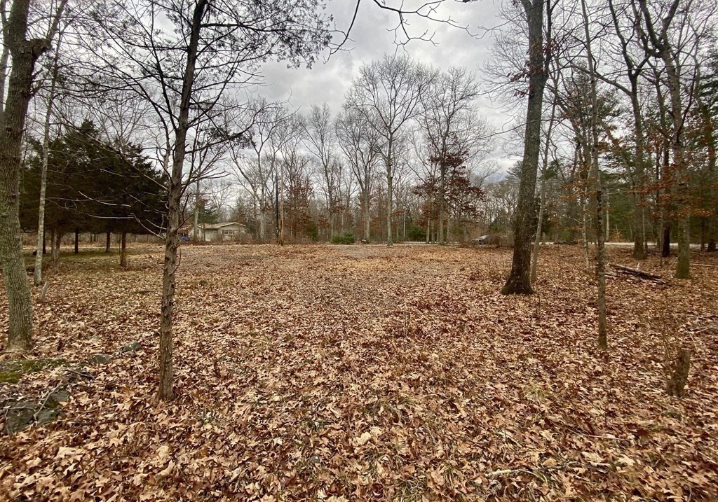 24 Danforth Street Rehoboth, MA 02769 - Photo 6 of 13 a backyard of a house with lots of green space