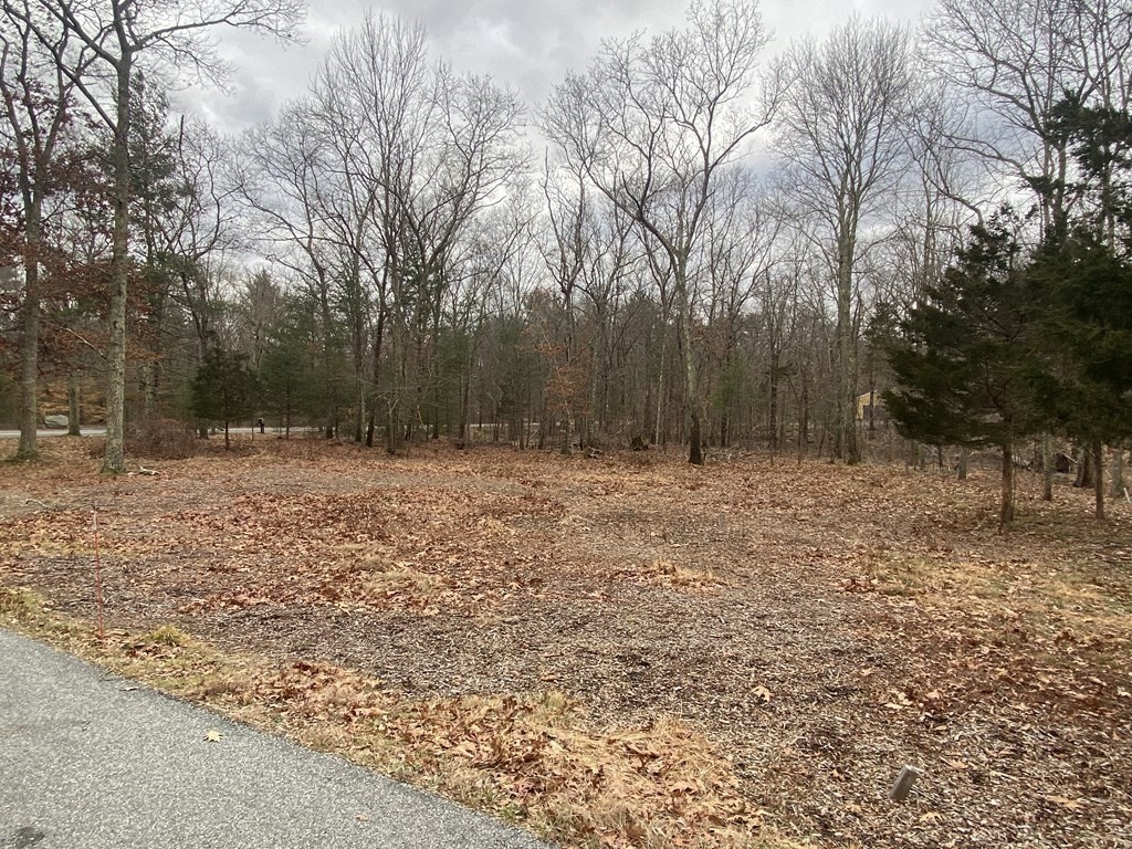 24 Danforth Street Rehoboth, MA 02769 - Photo 7 of 13 a backyard of a house with lots of green space