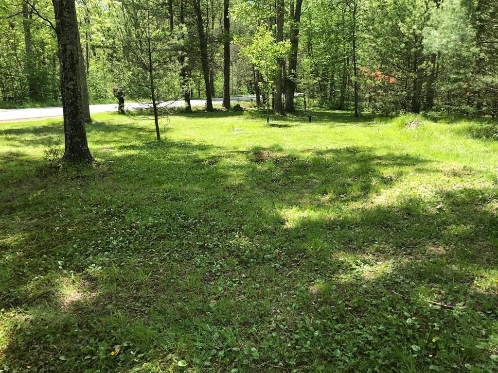 24 Danforth Street Rehoboth, MA 02769 - Photo 9 of 13 a view of yard with trees