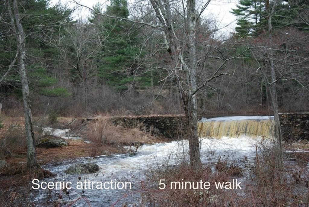24 Danforth Street Rehoboth, MA 02769 - Photo 10 of 13 a view of a park with large trees