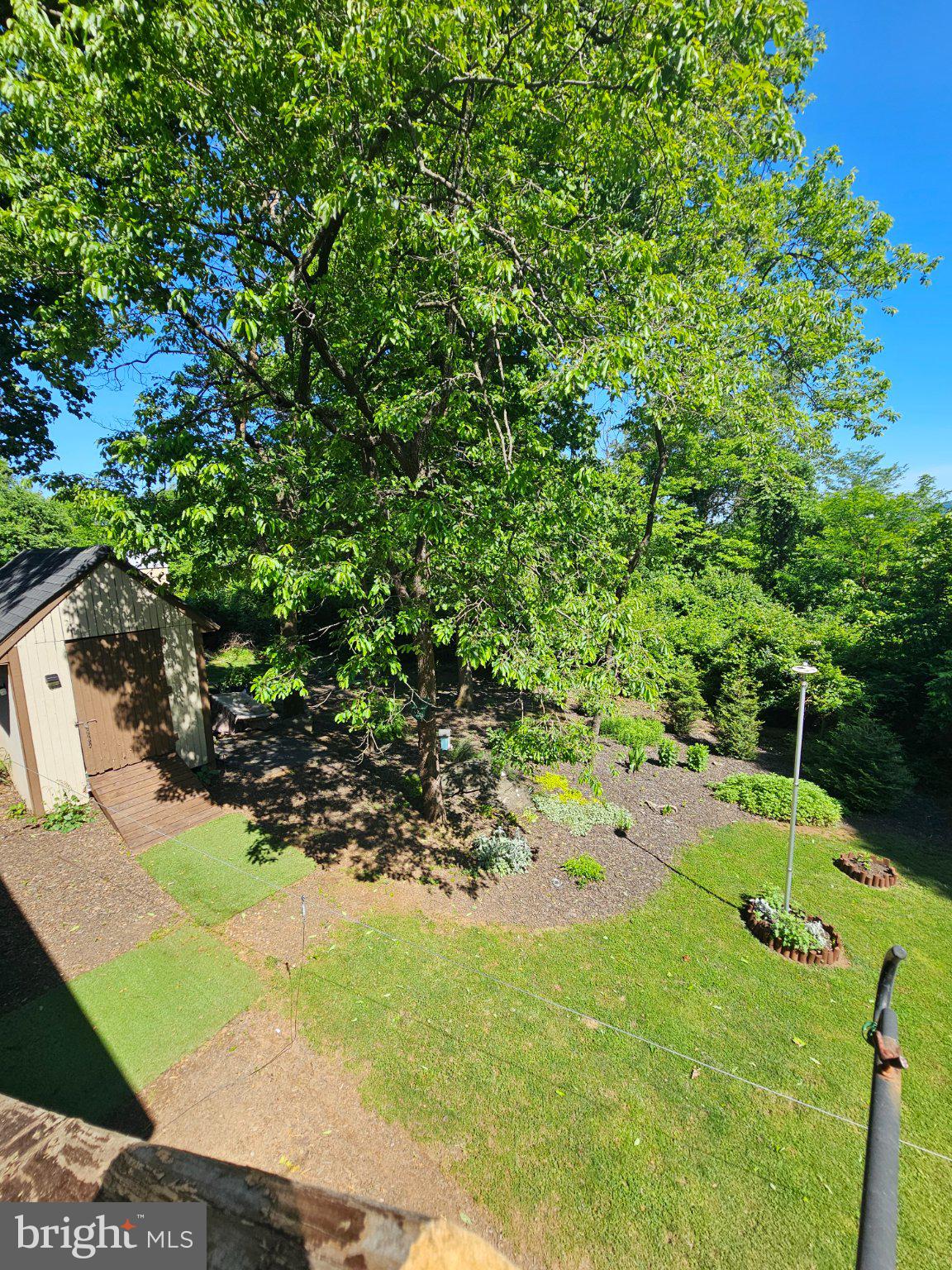 32 Parnassus Road Linden, VA 22642 - Photo 47 of 50 Lush greenery surrounds a cozy retreat.