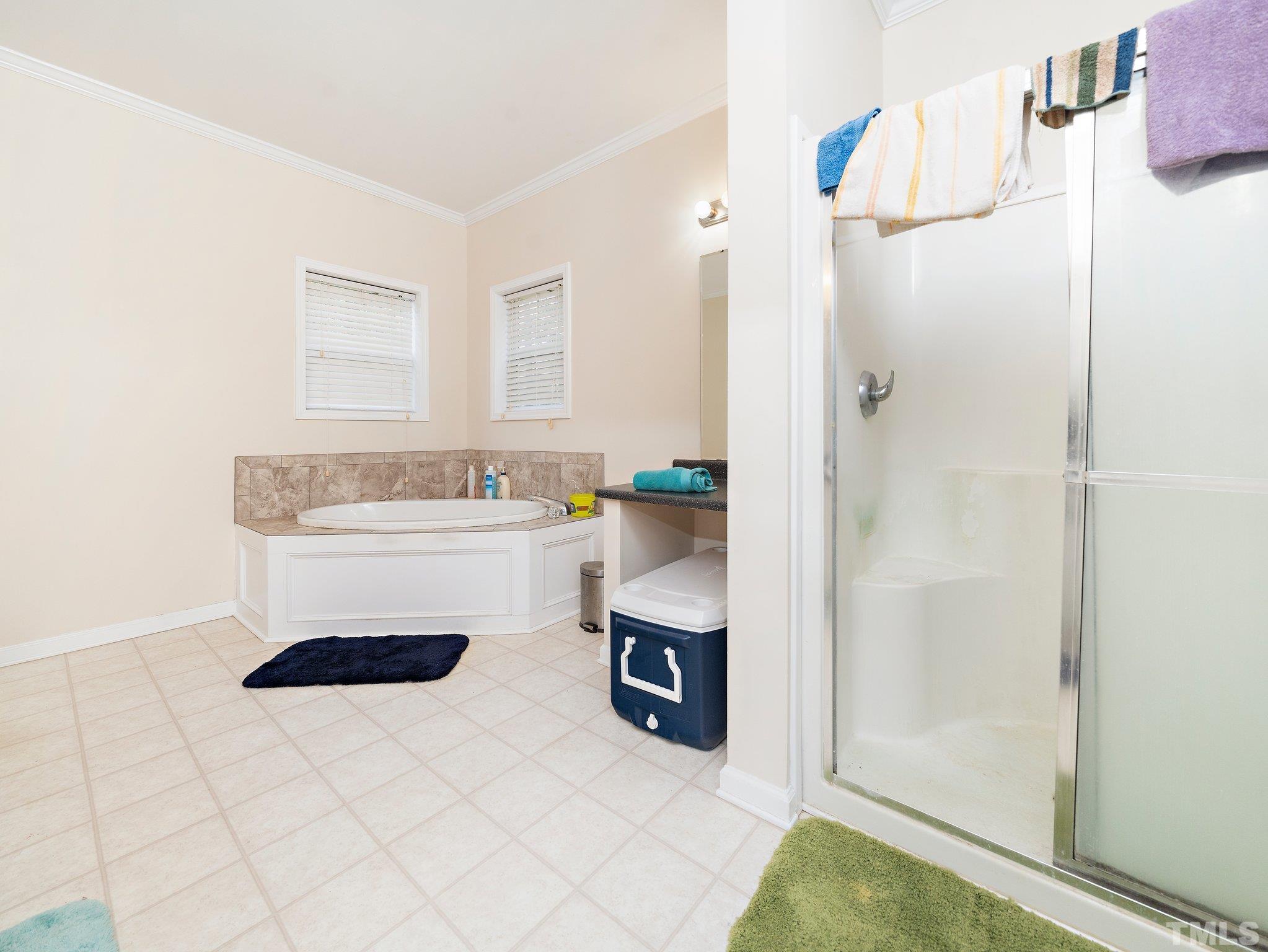5169 Crabtree Road Nashville, NC 27856 - Photo 10 of 18 a bathroom with a sink a mirror and a shower