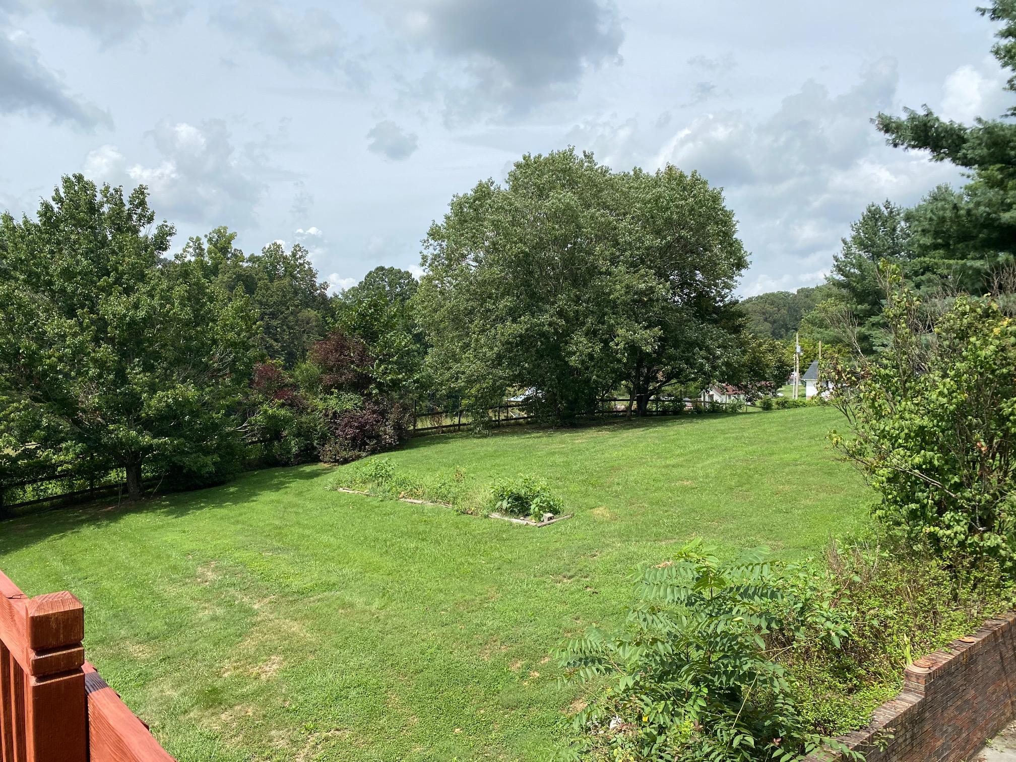 471 Boones Station Road Gray, TN 37615 - Photo 35 of 36 27 - Yard 1