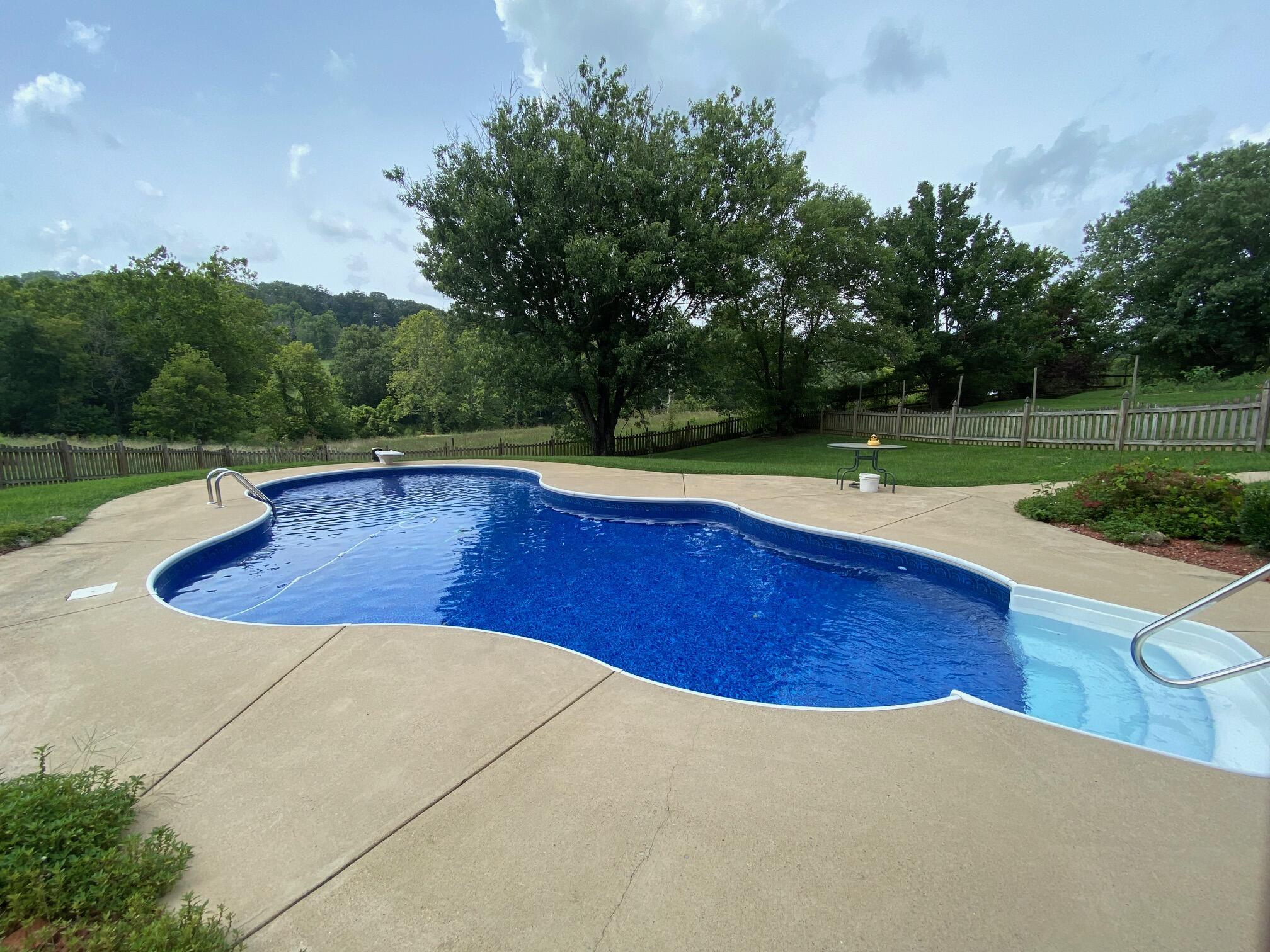 471 Boones Station Road Gray, TN 37615 - Photo 10 of 36 9 - Pool 2