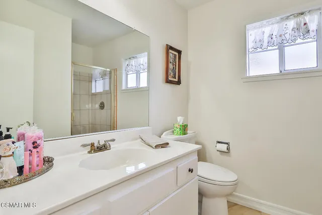 a view of a backyard with potted plants