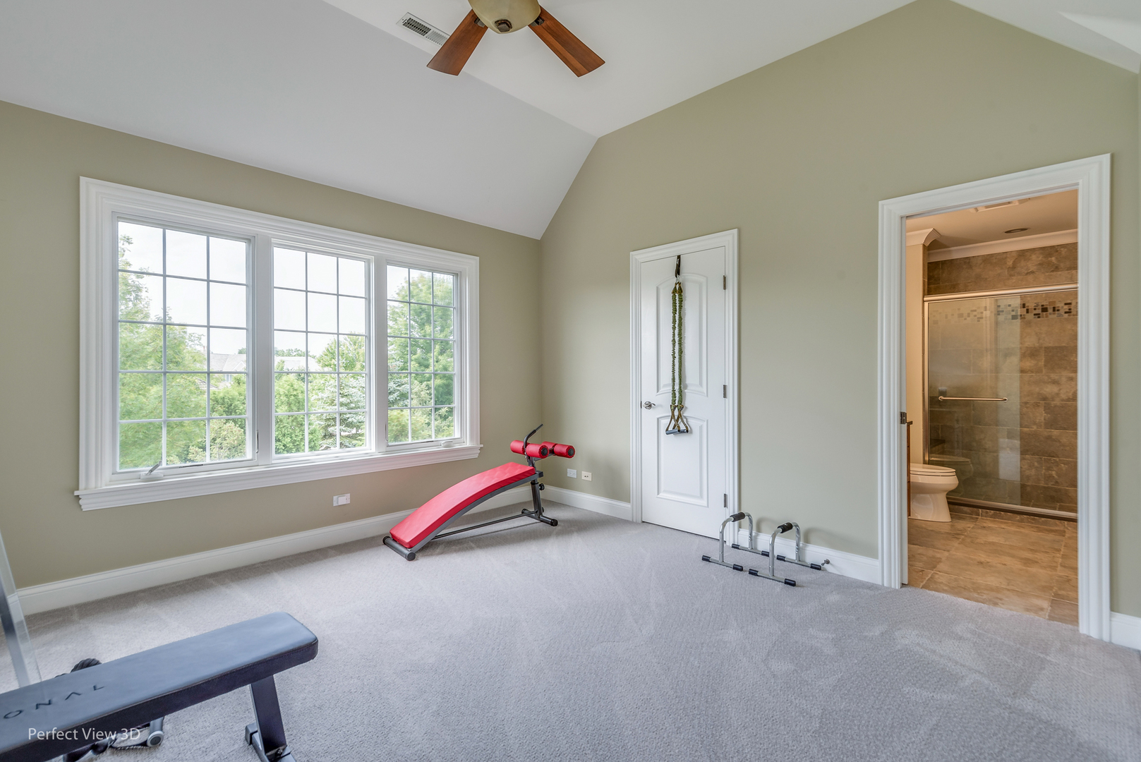 1235 MacAlpin Drive Inverness, IL 60010 - Photo 14 of 24