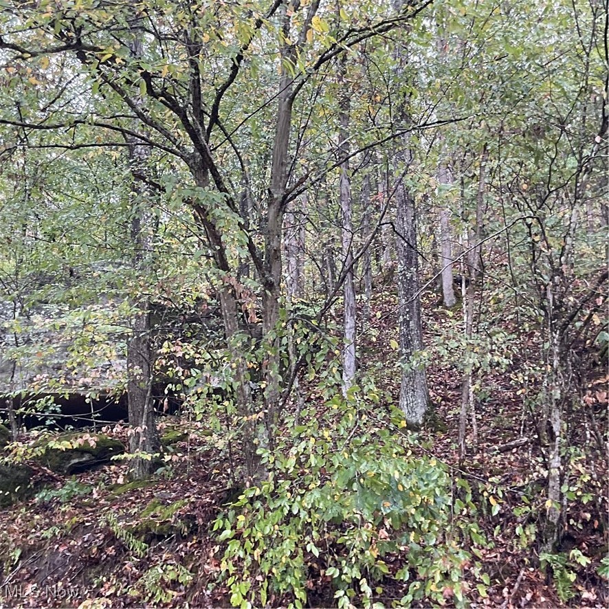 2105 Cicerone Road Walton, WV 25286 - Photo 12 of 23