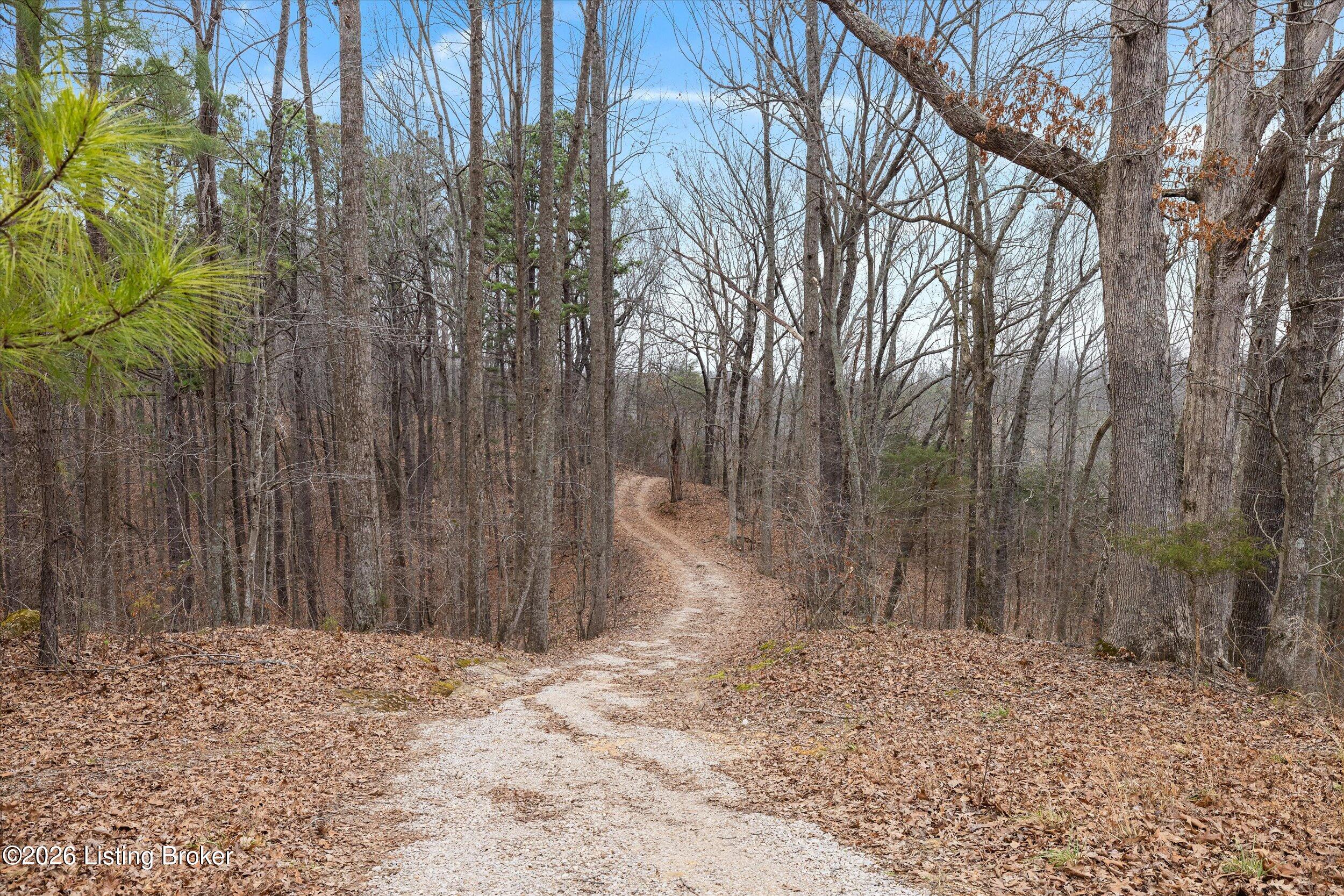 2795 North Pleasant Hill Road Upton, KY 42784 - Photo 2 of 28 01-3U8A3843