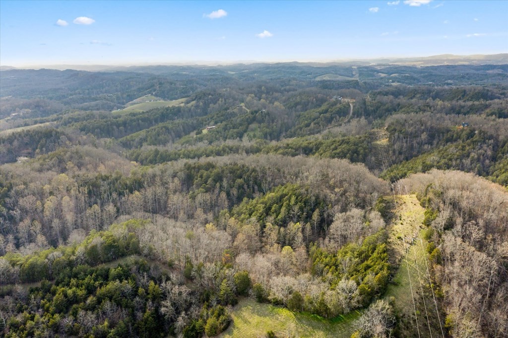 0 Lane Hollow Road Sevierville, TN 37876 - Photo 5 of 7
