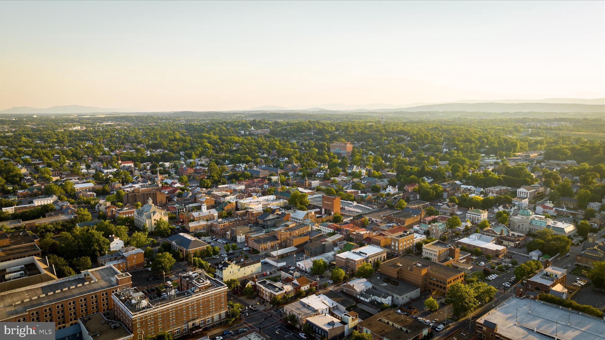 113 Williamson Road Winchester, VA 22602 - Photo 44 of 52 an aerial view of multiple house
