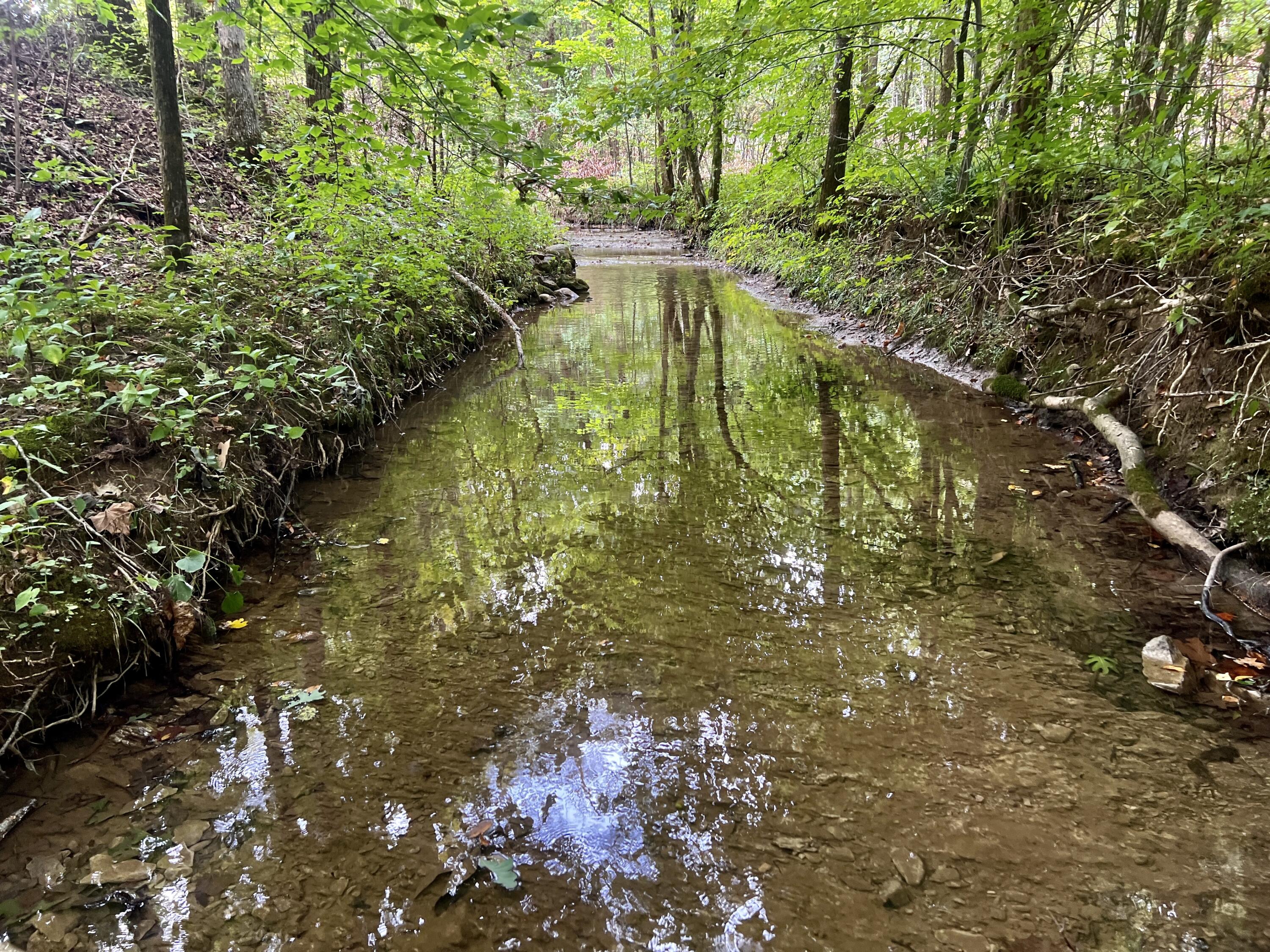 0 Kelley Gap Road Greeneville, TN 37743 - Photo 11 of 41 IMG_4427 (1)