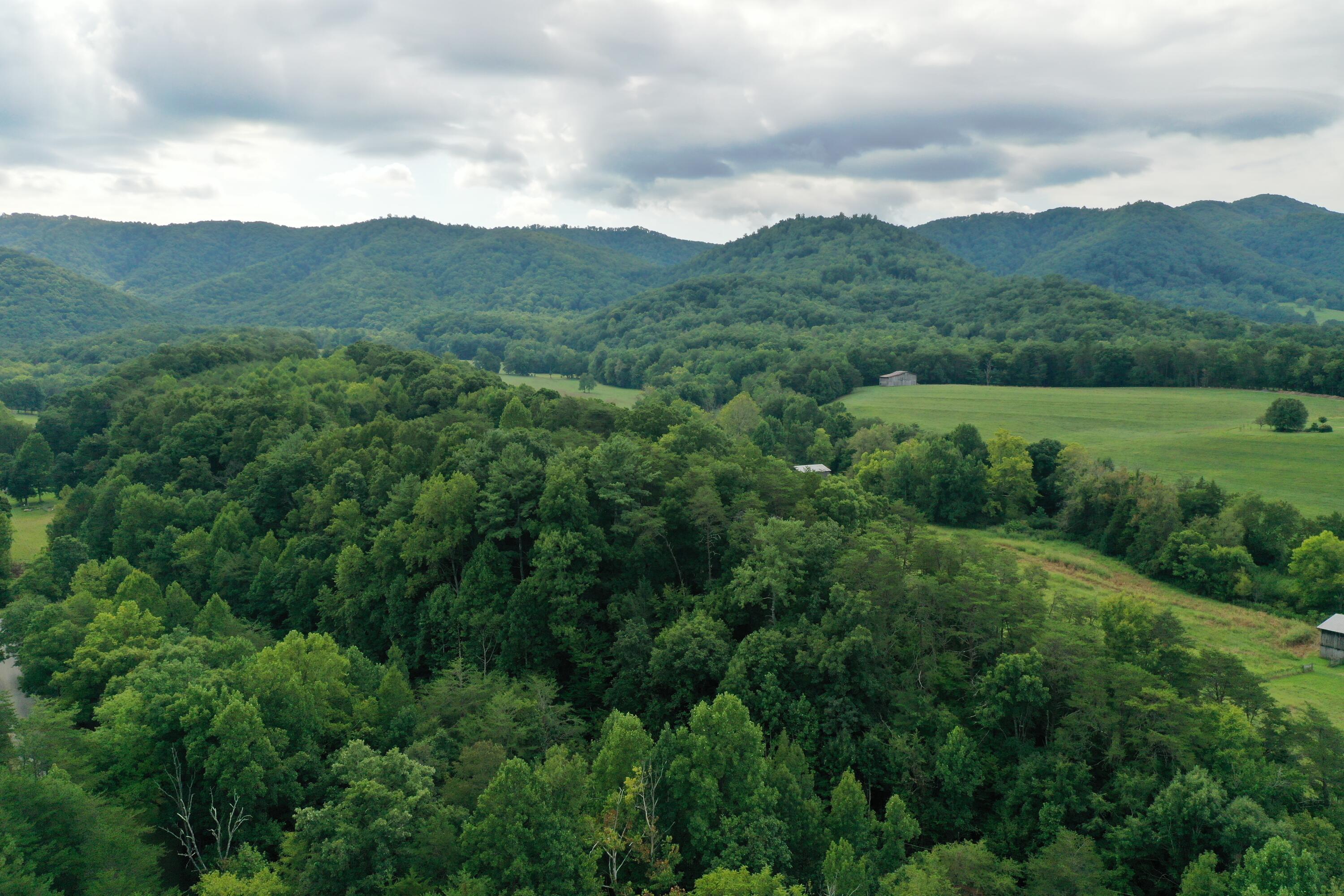 0 Kelley Gap Road Greeneville, TN 37743 - Photo 2 of 41 img016
