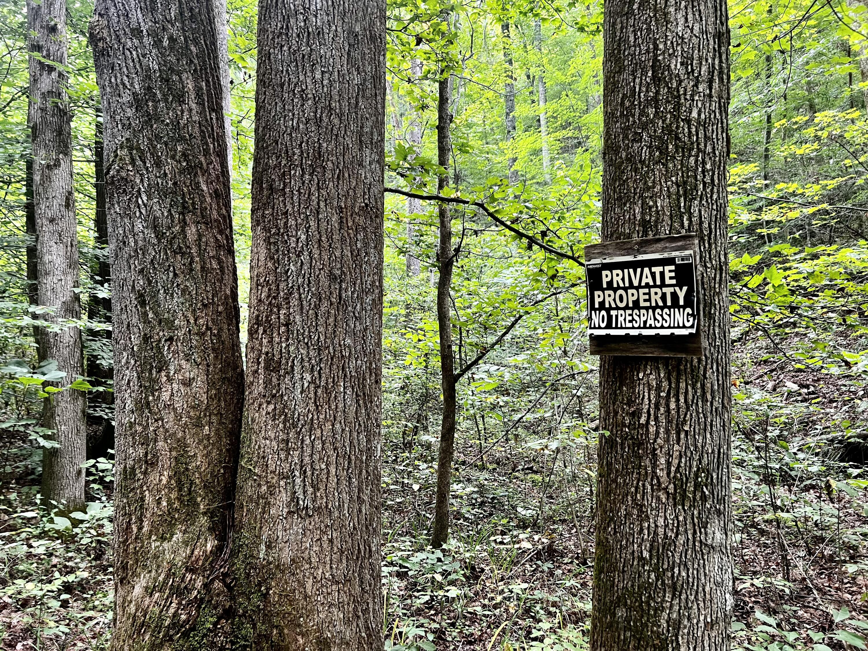 0 Kelley Gap Road Greeneville, TN 37743 - Photo 29 of 41 IMG_4411 (1)