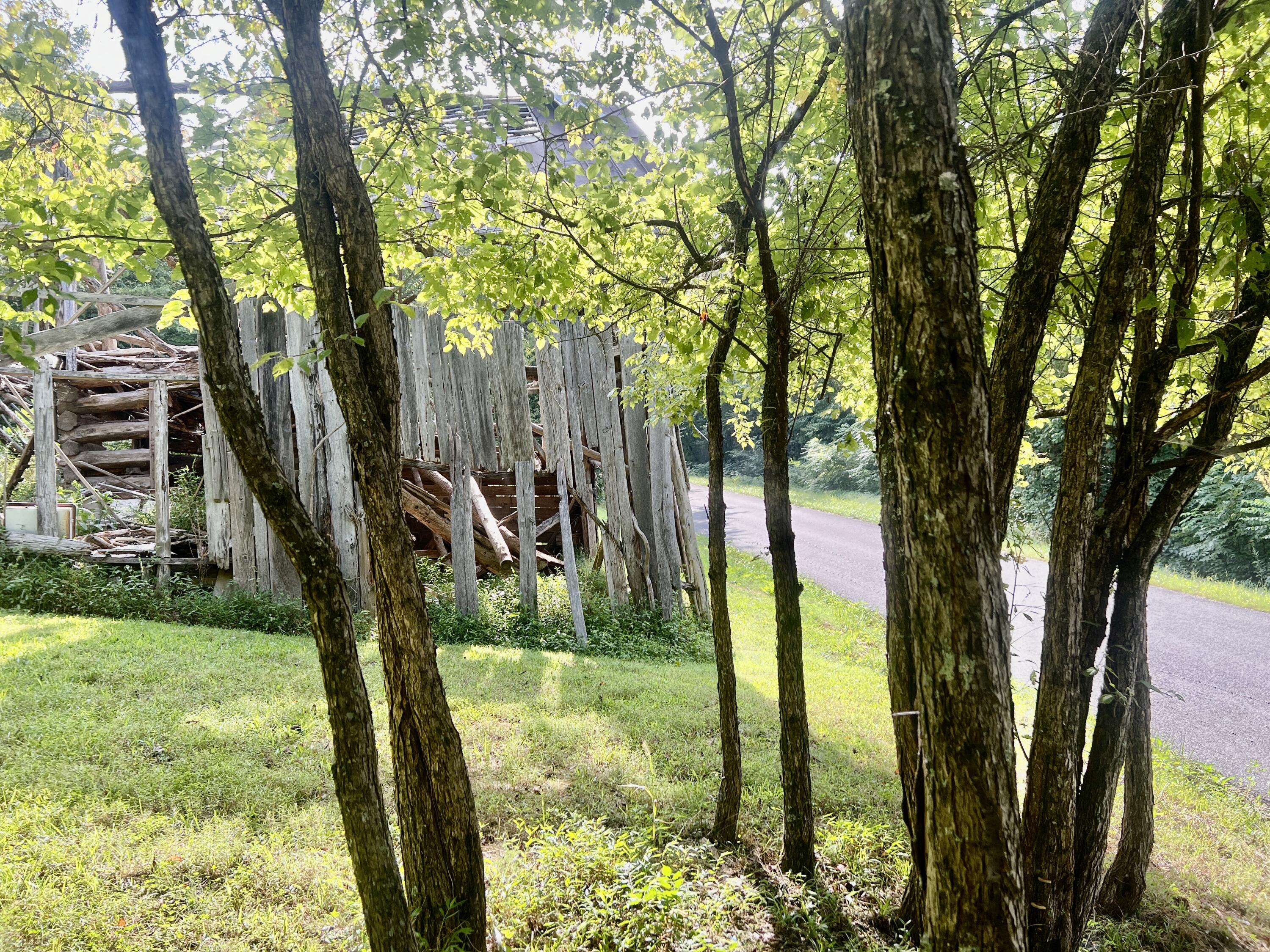 0 Kelley Gap Road Greeneville, TN 37743 - Photo 39 of 41 IMG_4393 (1)