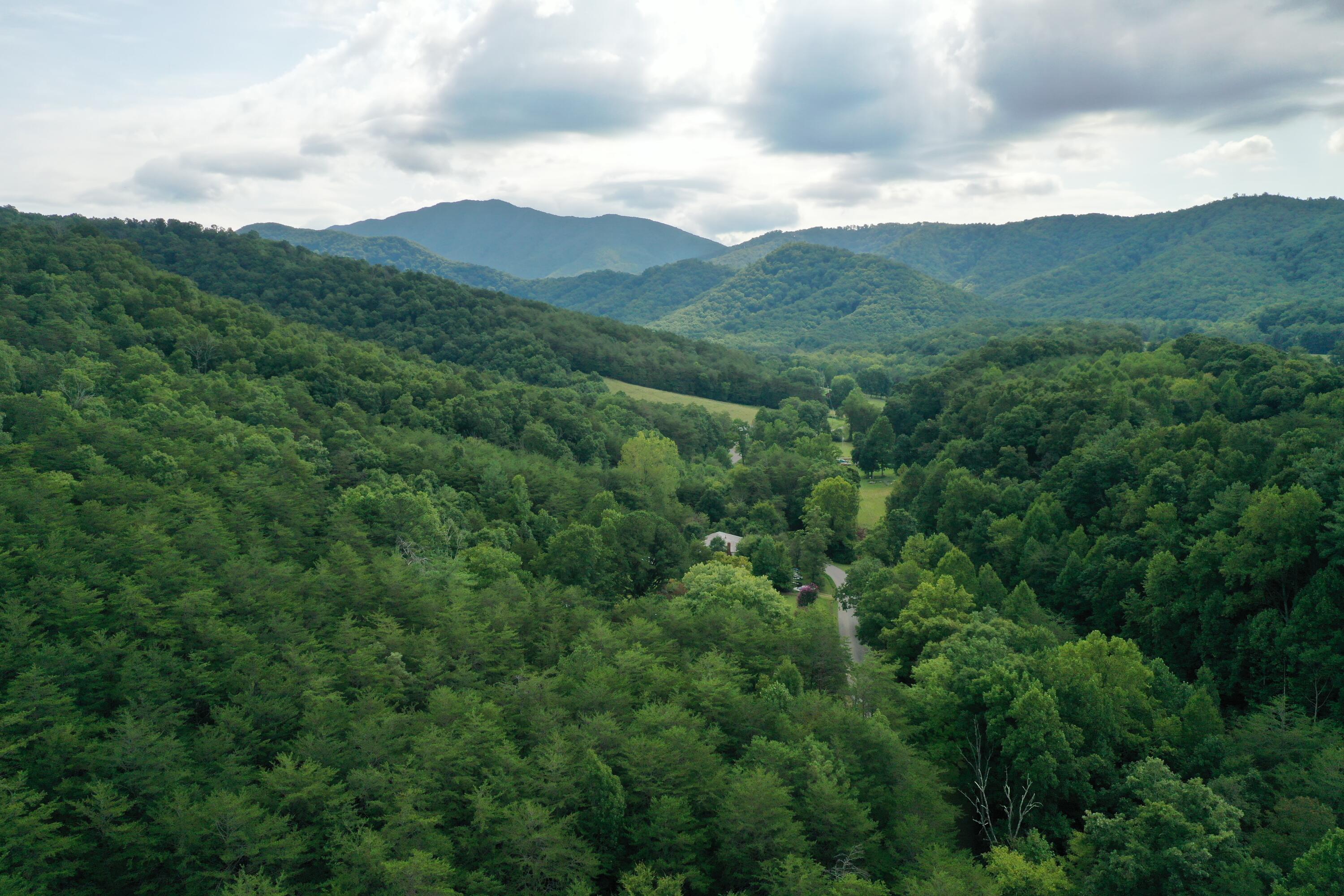 0 Kelley Gap Road Greeneville, TN 37743 - Photo 5 of 41 img015 (1)