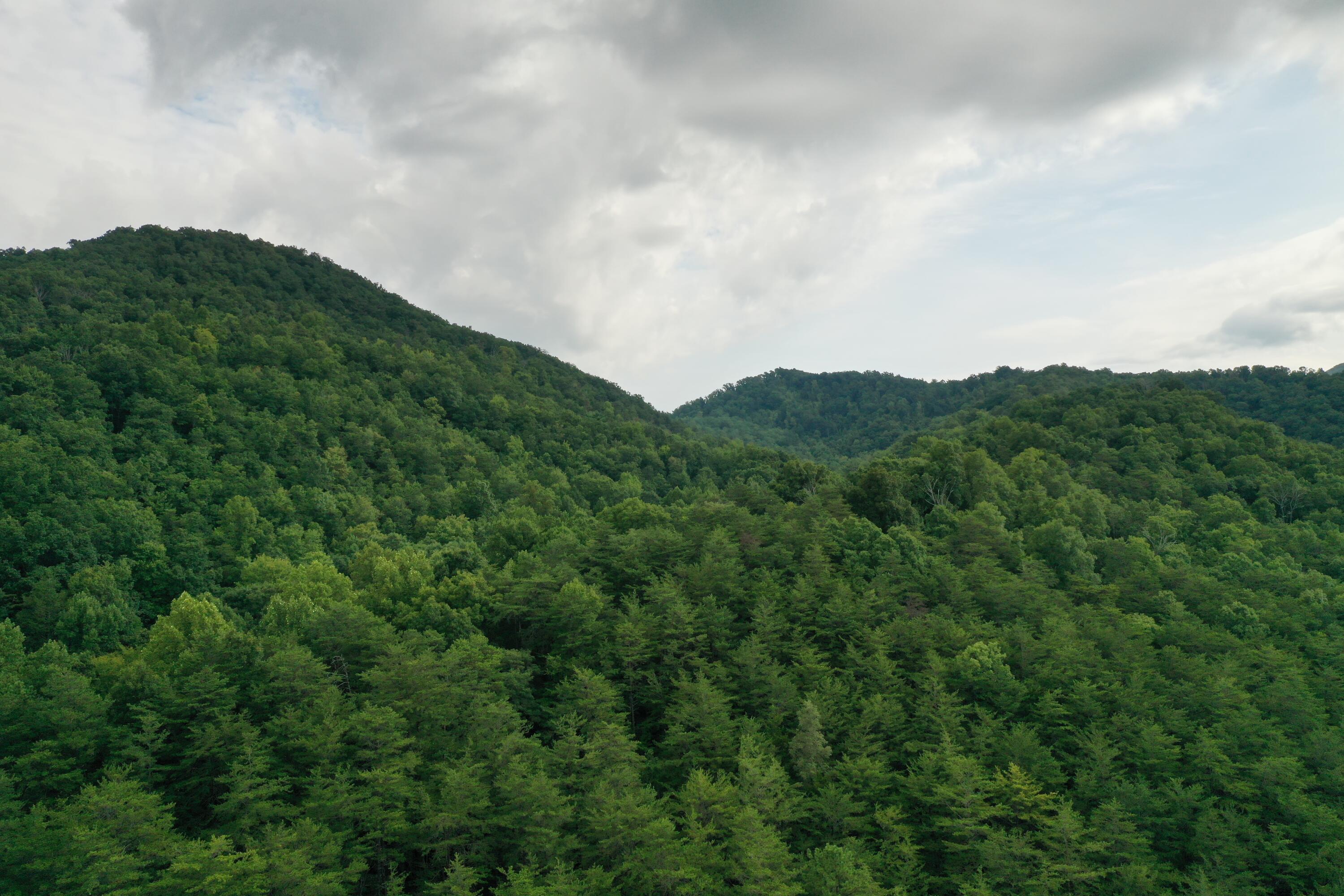 0 Kelley Gap Road Greeneville, TN 37743 - Photo 6 of 41 img013 (1)