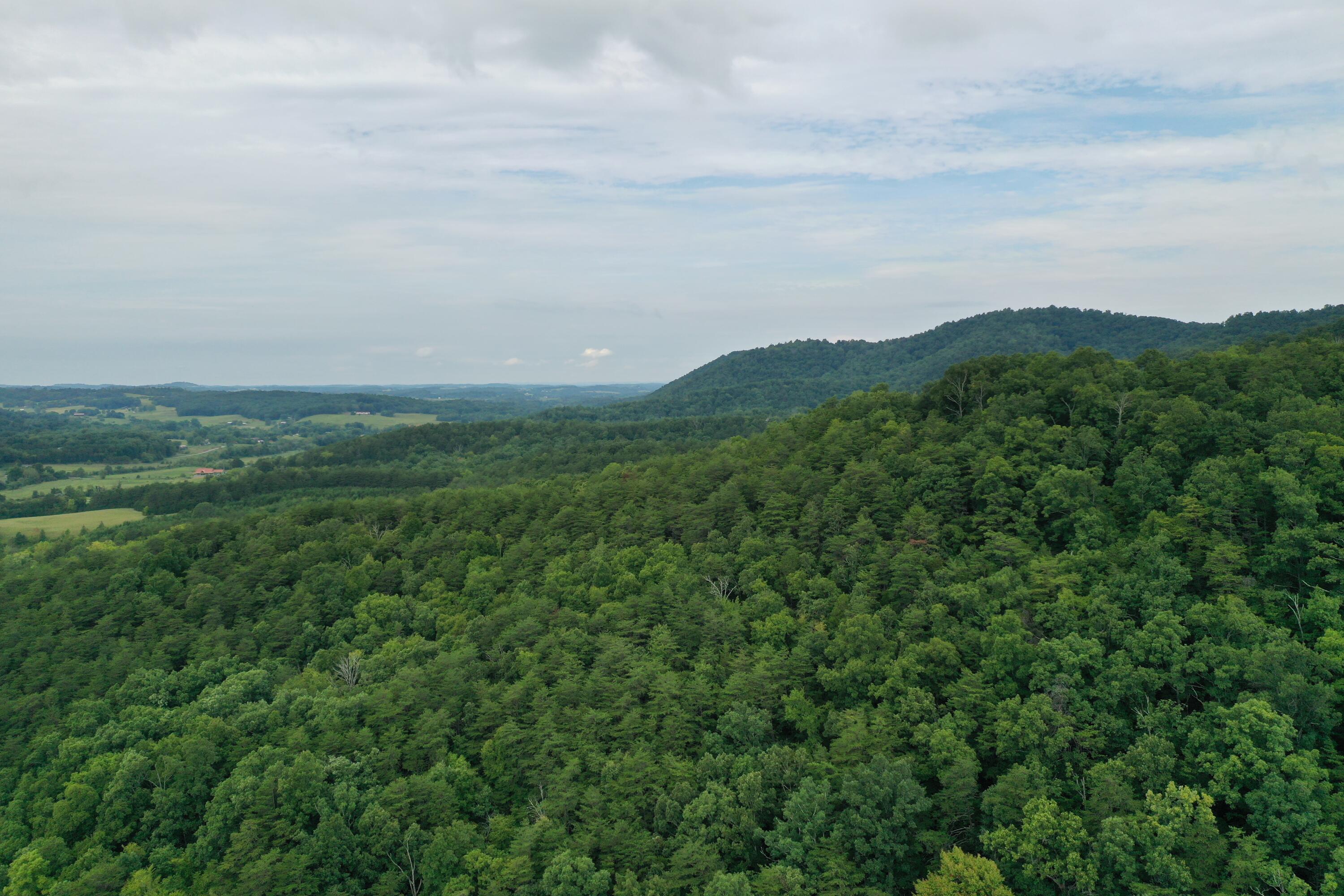 0 Kelley Gap Road Greeneville, TN 37743 - Photo 7 of 41 img012 (1)
