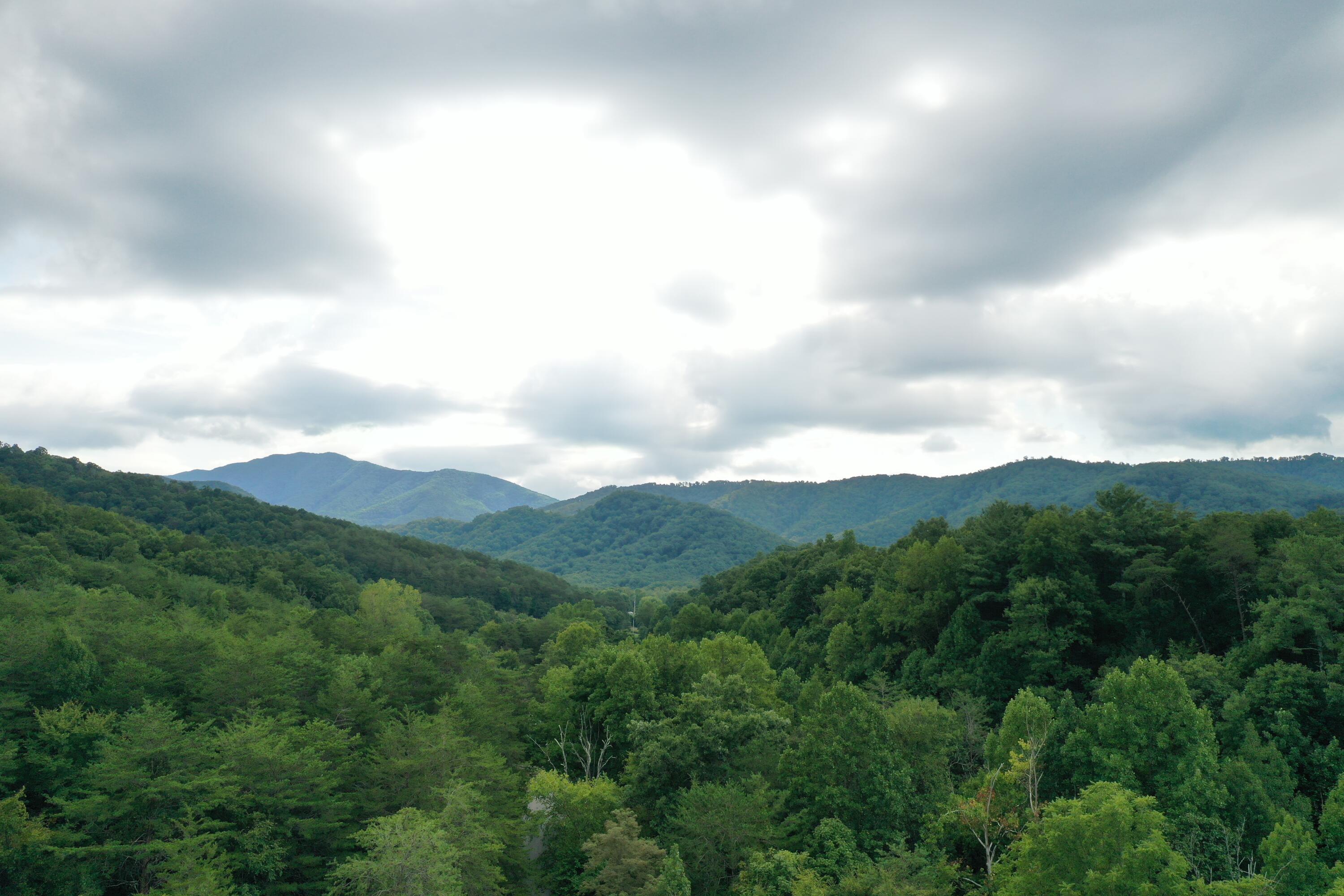 0 Kelley Gap Road Greeneville, TN 37743 - Photo 10 of 41 img004 (1)
