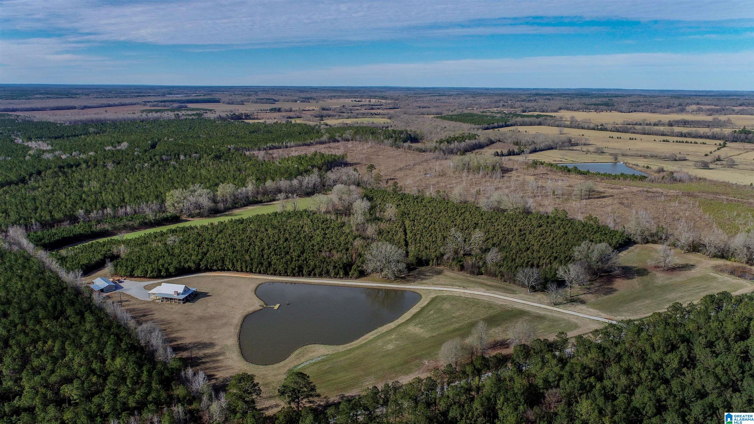 8619 County Road 33 Linden, AL 36748 - Photo 14 of 54