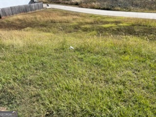 2303 Freeman Road Jonesboro, GA 30236 - Photo 4 of 7