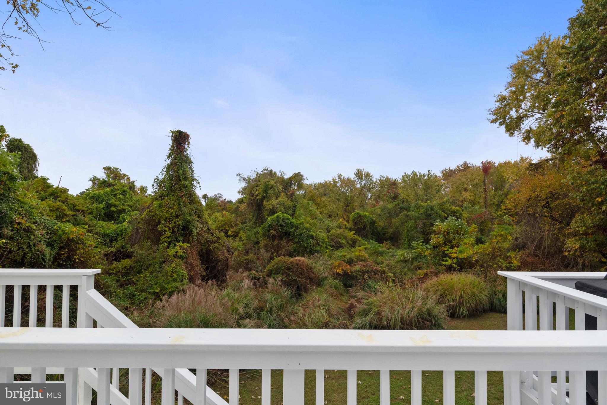 631 Truxton Road Annapolis, MD 21409 - Photo 55 of 61 view from deck
