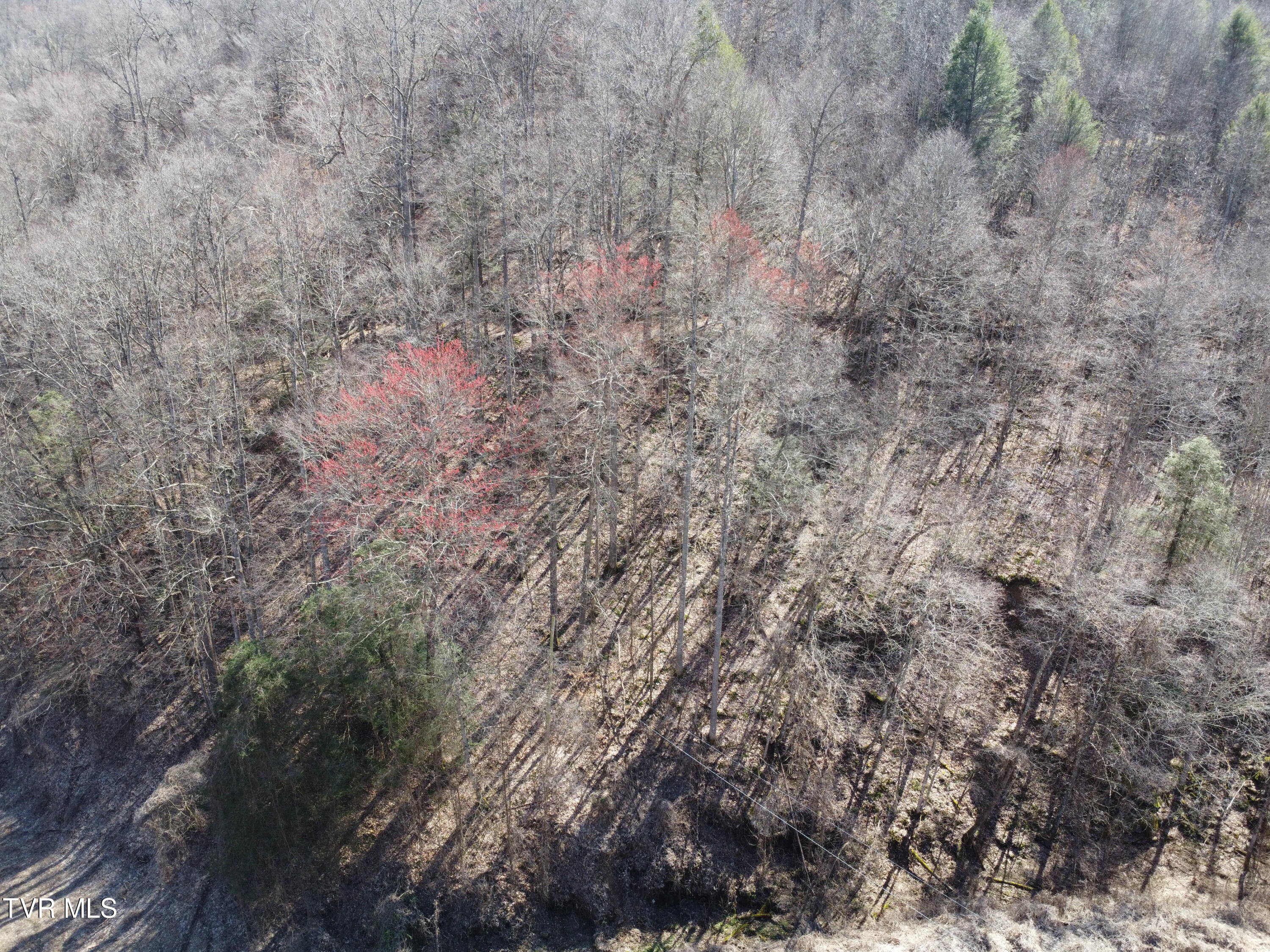 Tbd Bull Run Road Coeburn, VA 24230 - Photo 26 of 57 DJI_0588