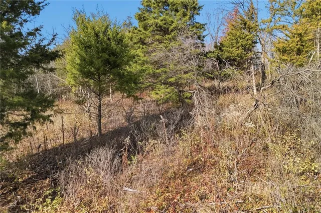 $179,900 | 0 Northeast 144th Street, Excelsior Springs, MO 64024