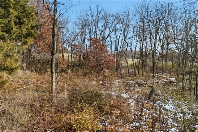 $179,900 | 0 Northeast 144th Street, Excelsior Springs, MO 64024