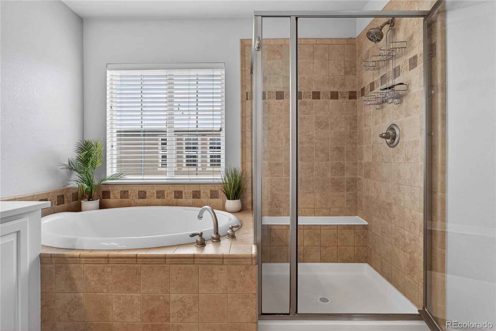 3997 Blue Pine Circle Highlands Ranch, CO 80126 - Photo 27 of 41