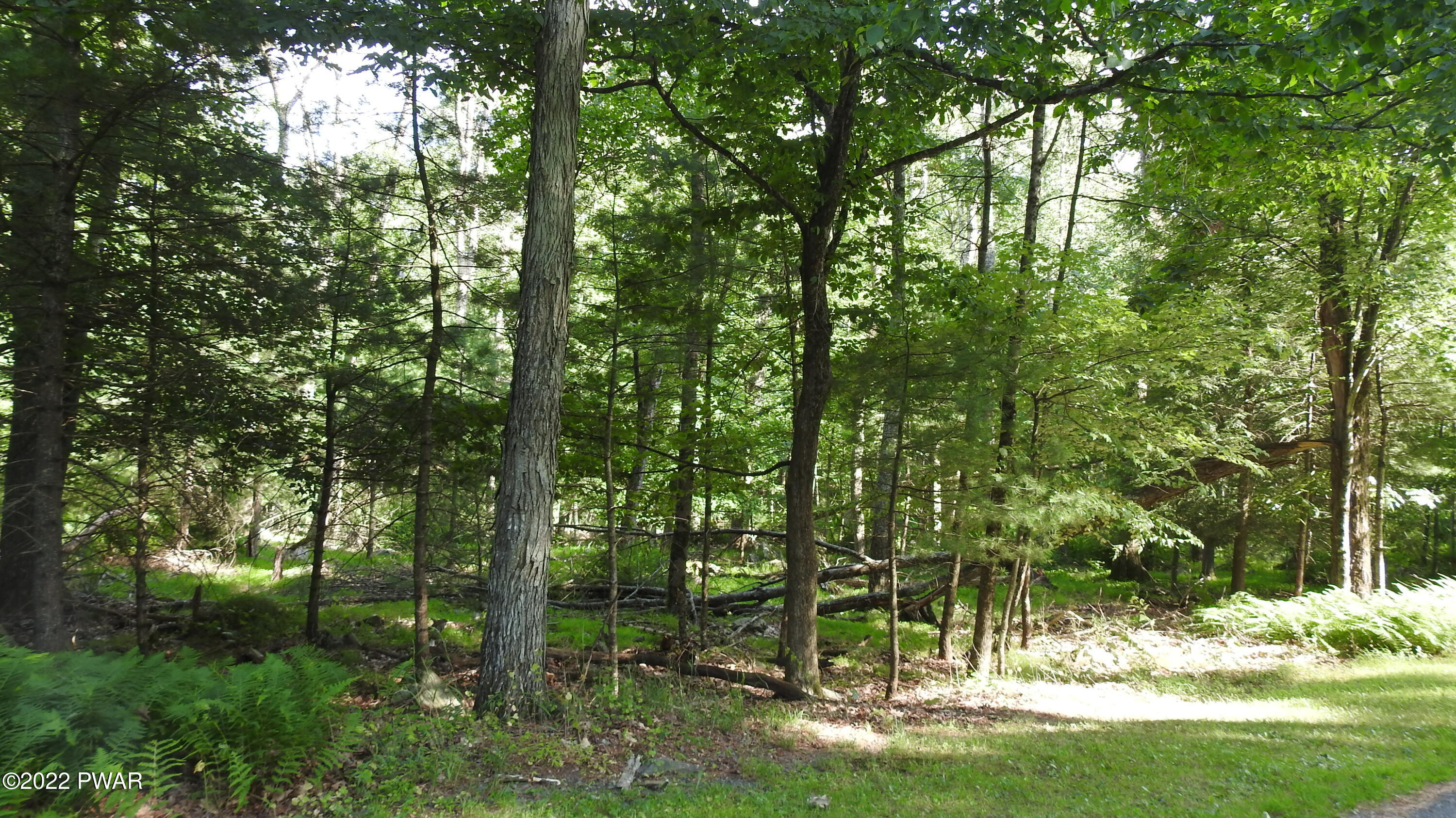 1492 Raymondskill Road Milford, PA 18337 - Photo 10 of 13