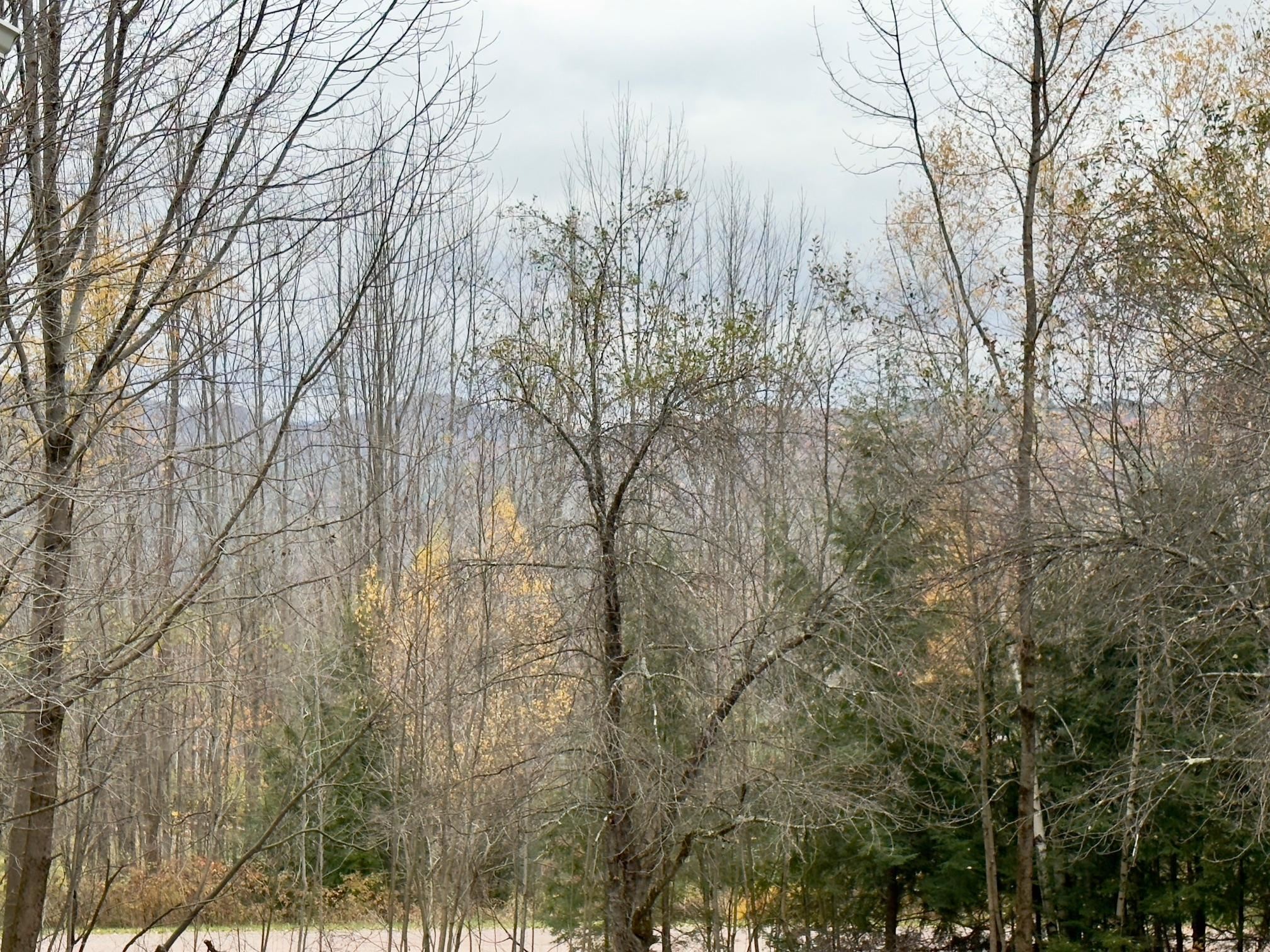 43 Stonefence Road Richmond, VT 05477 - Photo 28 of 33 Gallery Image 28