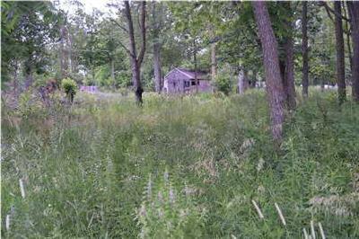 3680 Velte Road Woodland, MI 48897 - Photo 1 of 4 Primary Photo