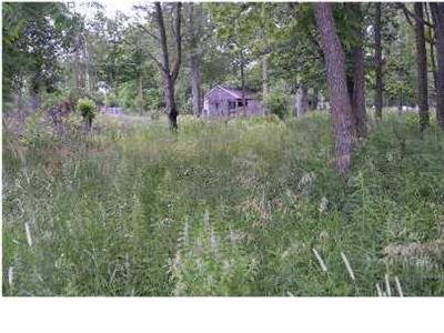 3680 Velte Road Woodland, MI 48897 - Photo 4 of 4 Additional Photo