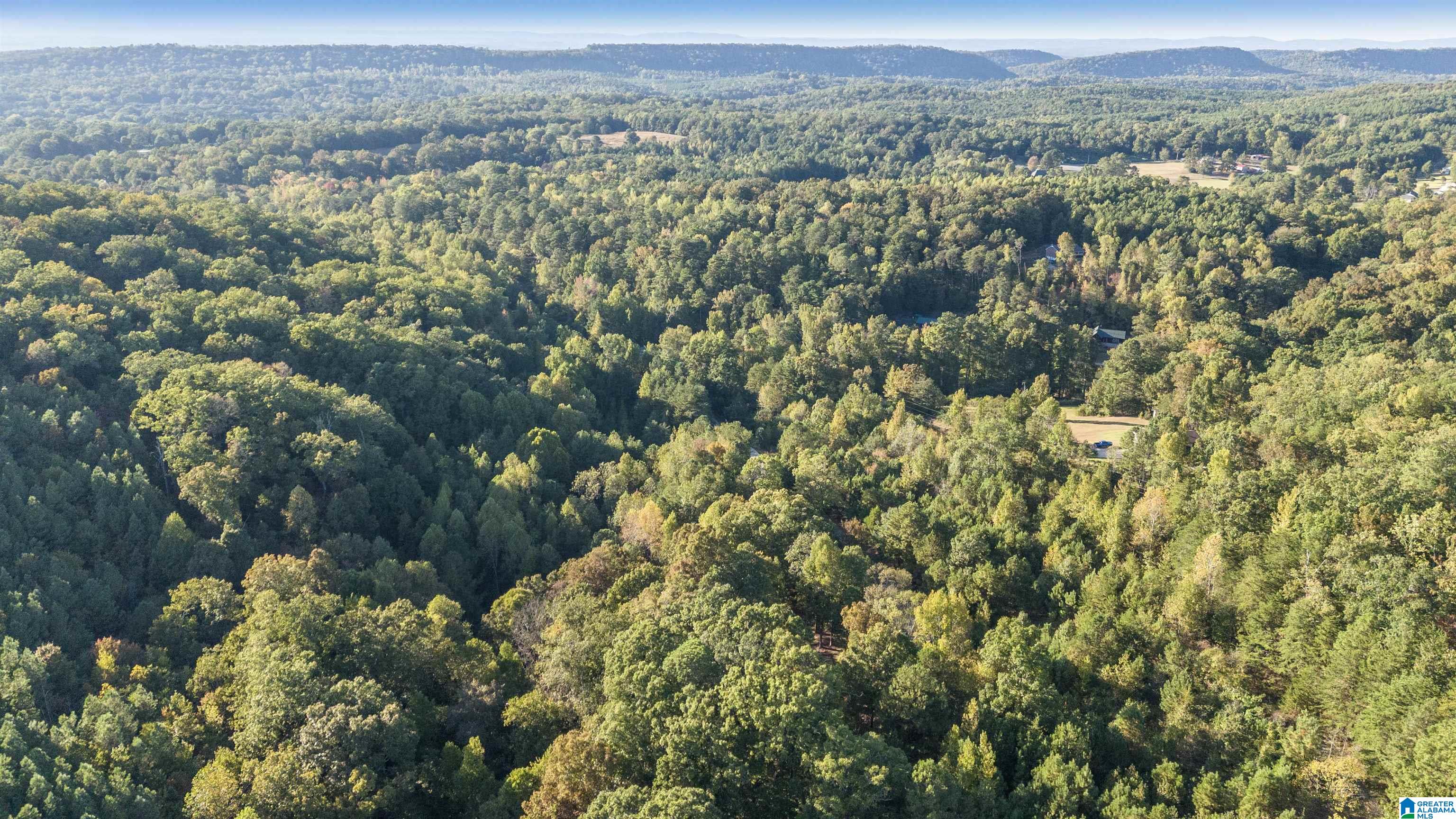 5769 Miles Spring Road Pinson, AL 35126 - Photo 45 of 47