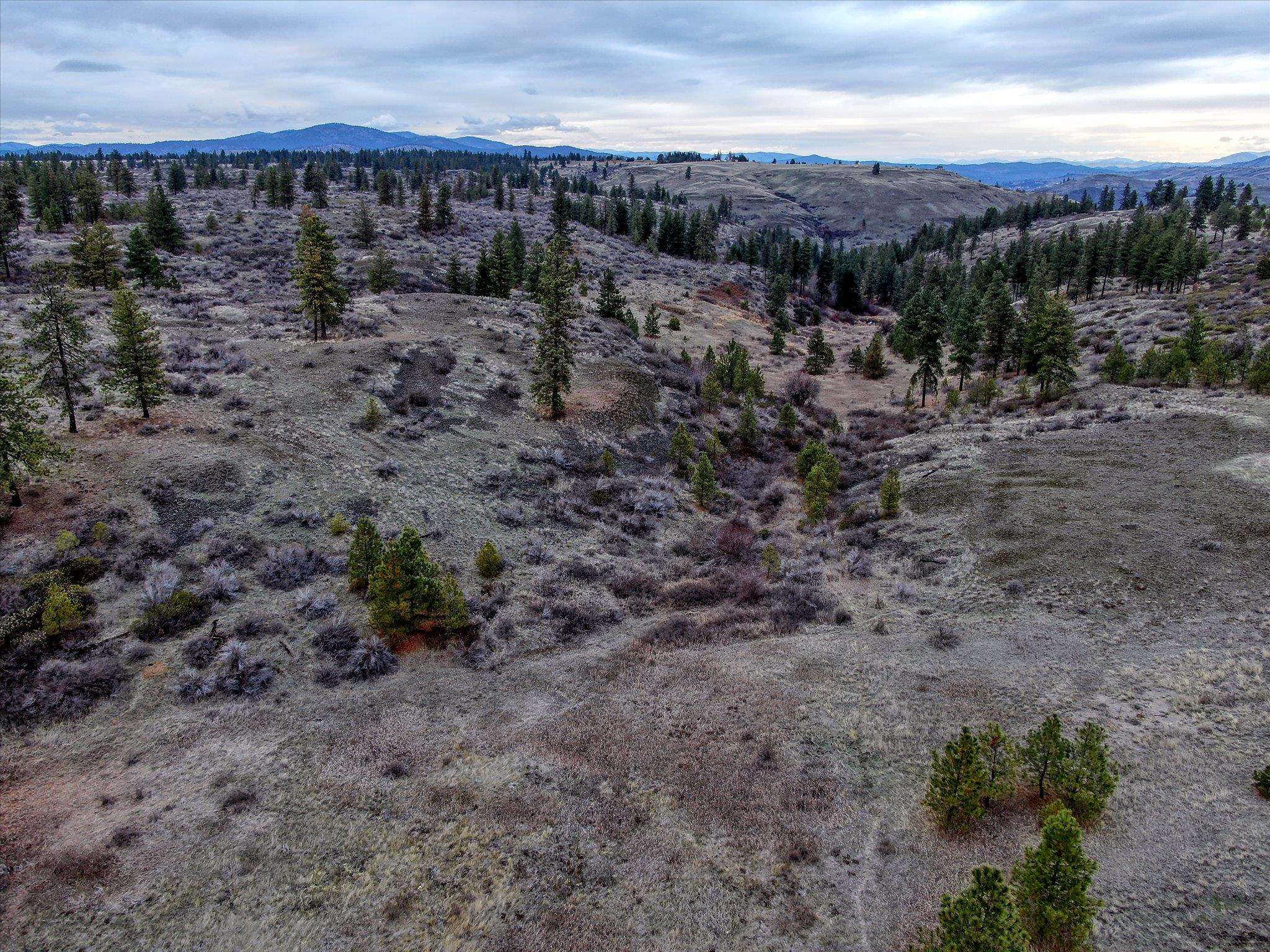 0 East Bachelor Prairie Road Creston, WA 99117 - Photo 1 of 20 Gallery Image 1