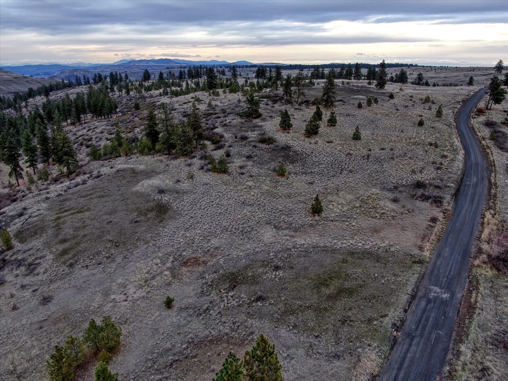 0 East Bachelor Prairie Road Creston, WA 99117 - Photo 2 of 20 Gallery Image 2