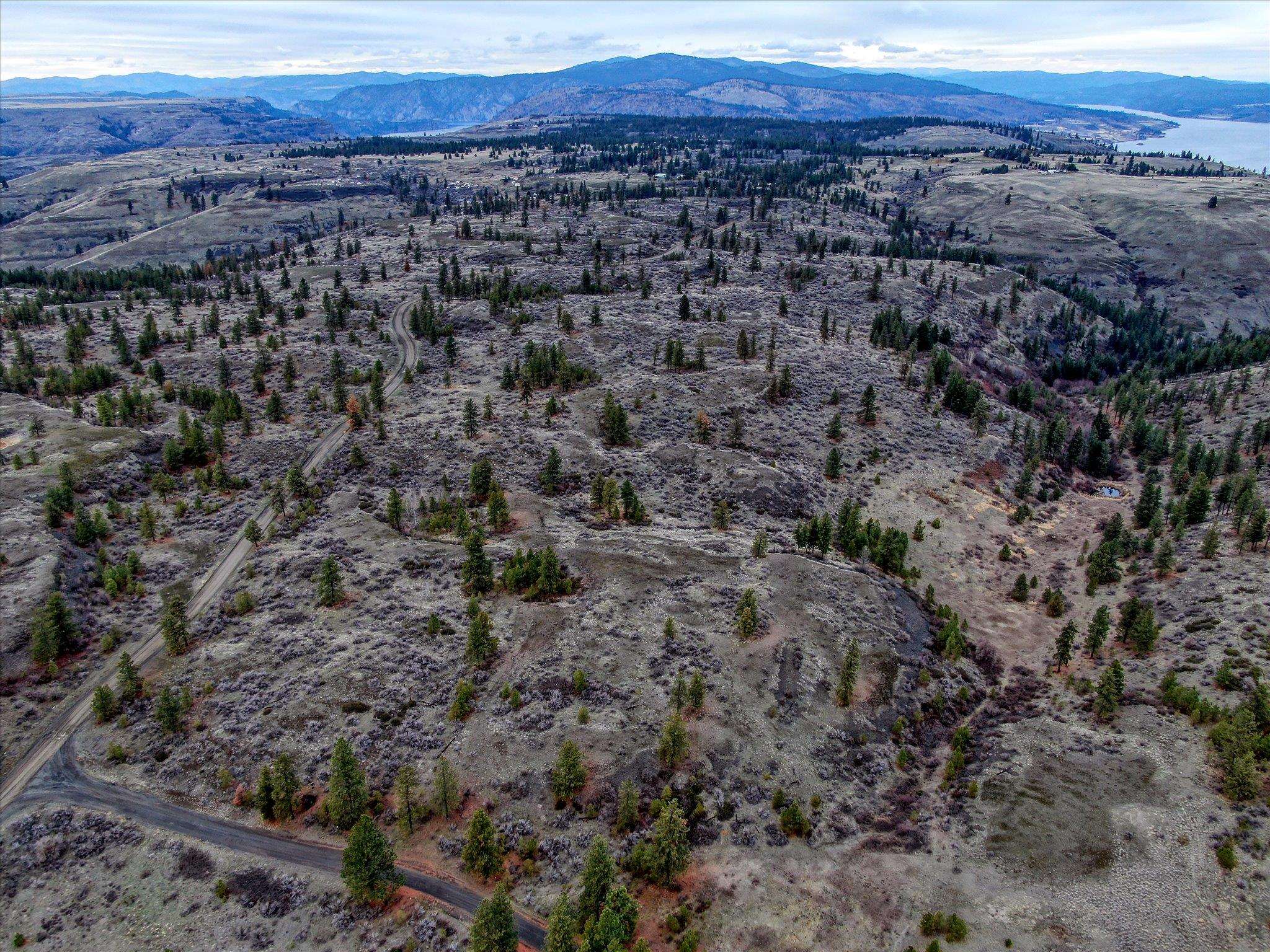 0 East Bachelor Prairie Road Creston, WA 99117 - Photo 11 of 20 Gallery Image 11