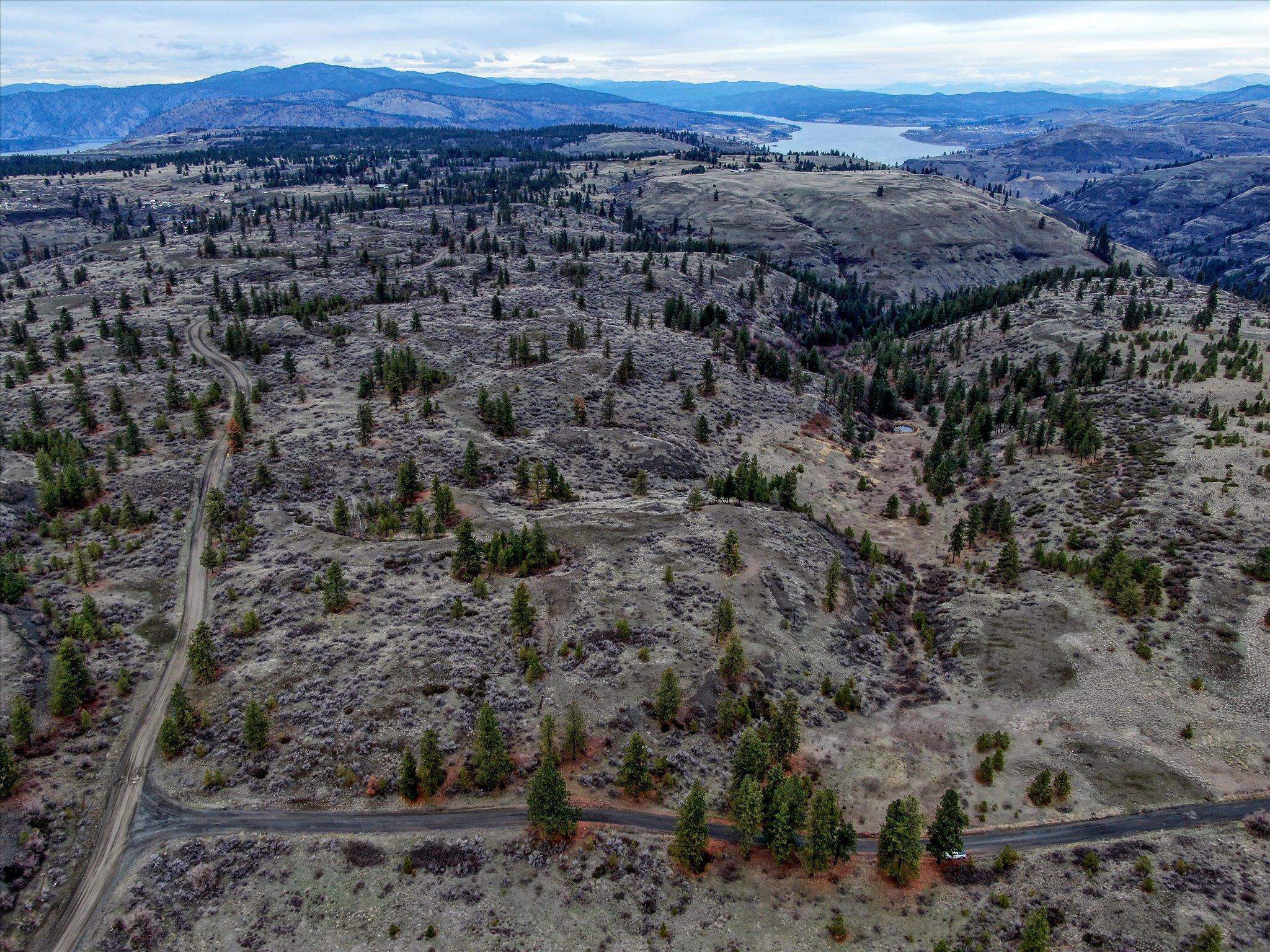 0 East Bachelor Prairie Road Creston, WA 99117 - Photo 12 of 20 Gallery Image 12