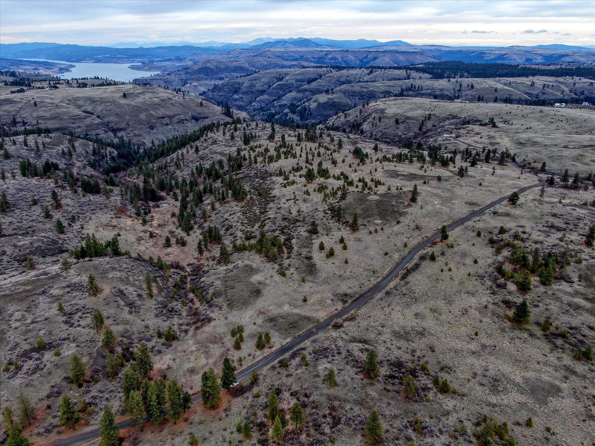 0 East Bachelor Prairie Road Creston, WA 99117 - Photo 13 of 20 Gallery Image 13