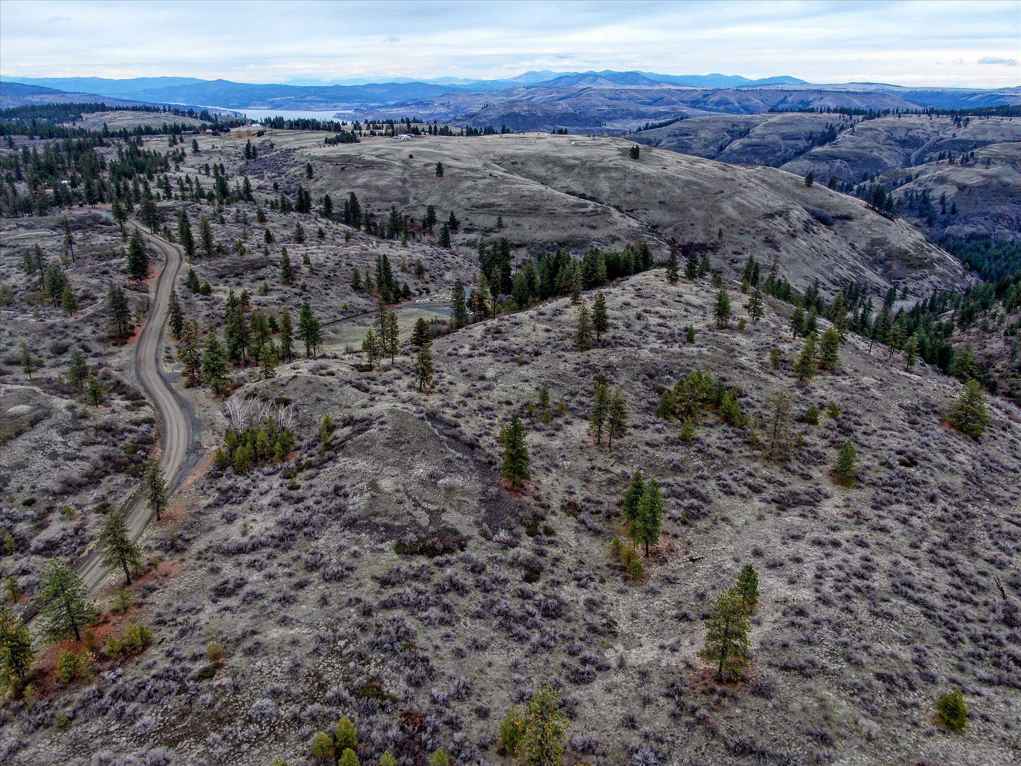 0 East Bachelor Prairie Road Creston, WA 99117 - Photo 16 of 20 Gallery Image 16
