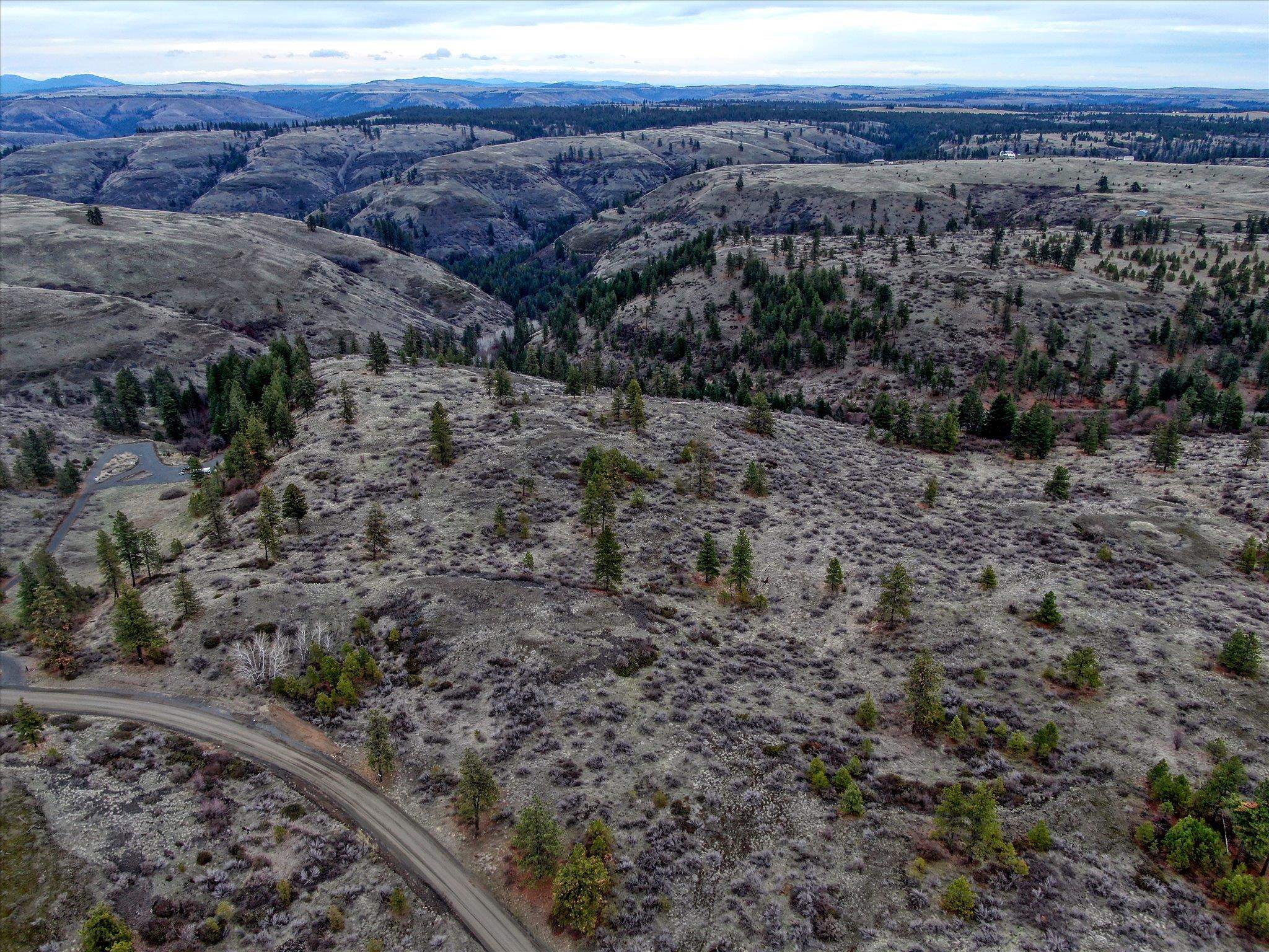 0 East Bachelor Prairie Road Creston, WA 99117 - Photo 17 of 20 Gallery Image 17