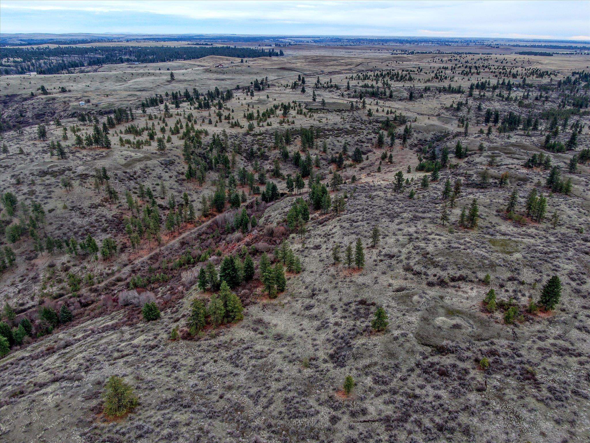 0 East Bachelor Prairie Road Creston, WA 99117 - Photo 19 of 20 Gallery Image 19