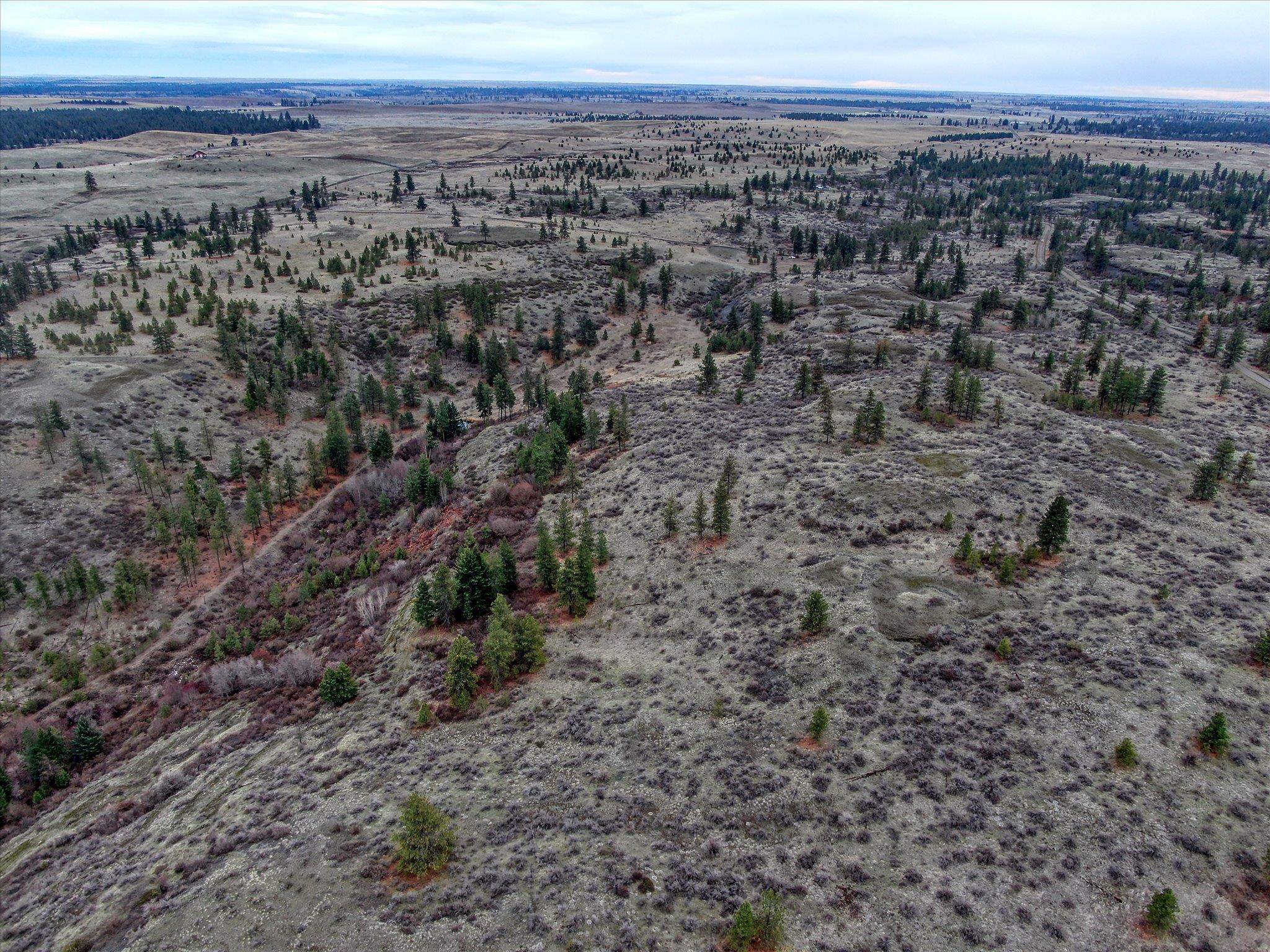 0 East Bachelor Prairie Road Creston, WA 99117 - Photo 20 of 20 Gallery Image 20