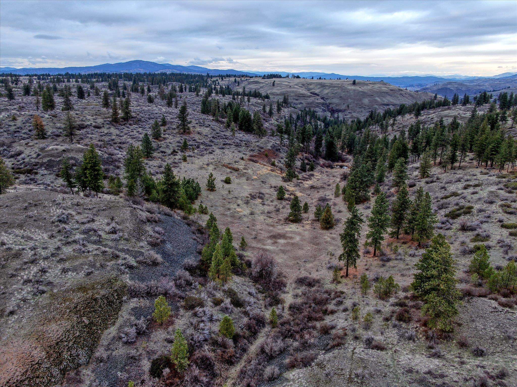 0 East Bachelor Prairie Road Creston, WA 99117 - Photo 3 of 20 Gallery Image 3