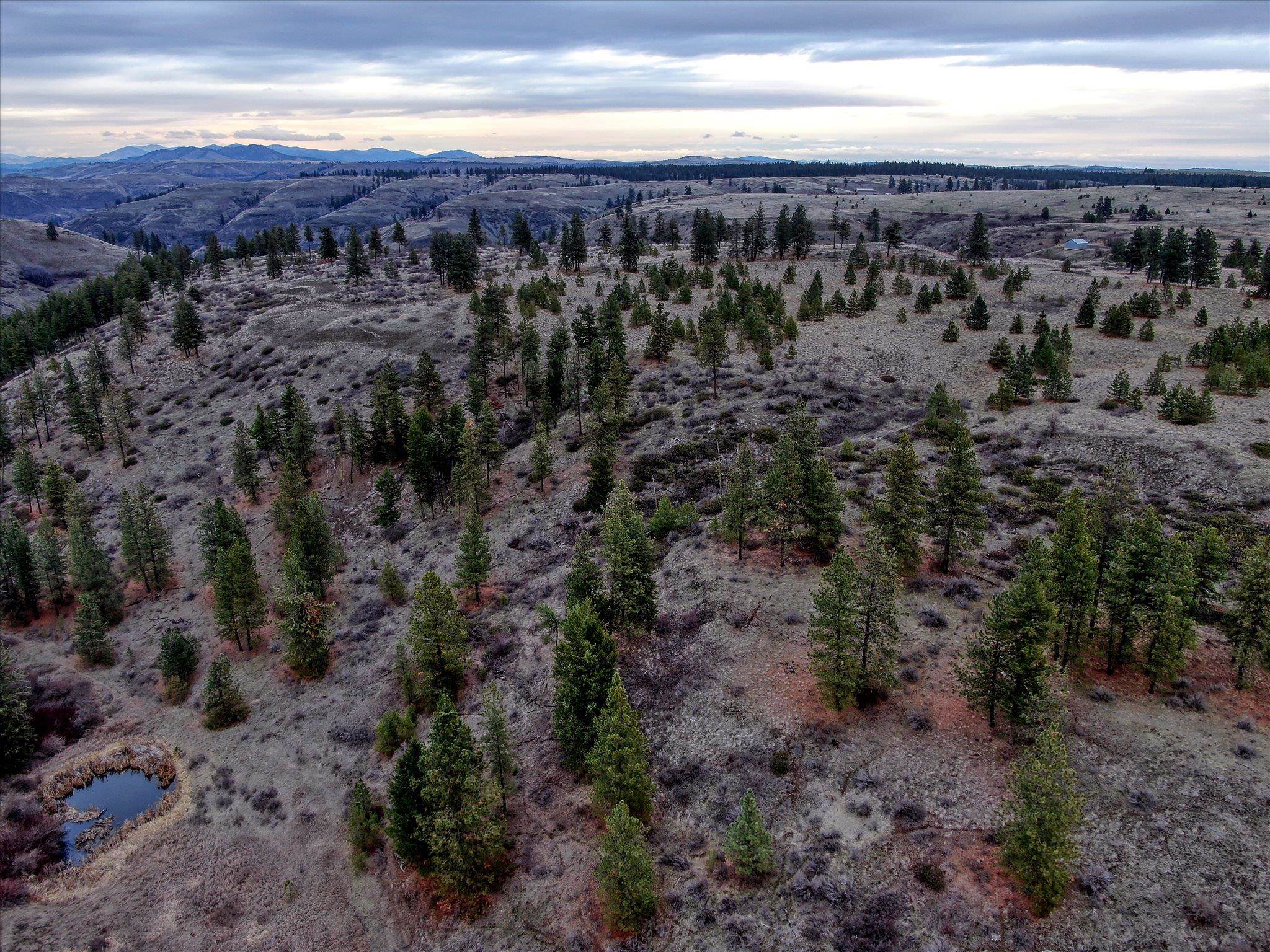 0 East Bachelor Prairie Road Creston, WA 99117 - Photo 4 of 20 Gallery Image 4