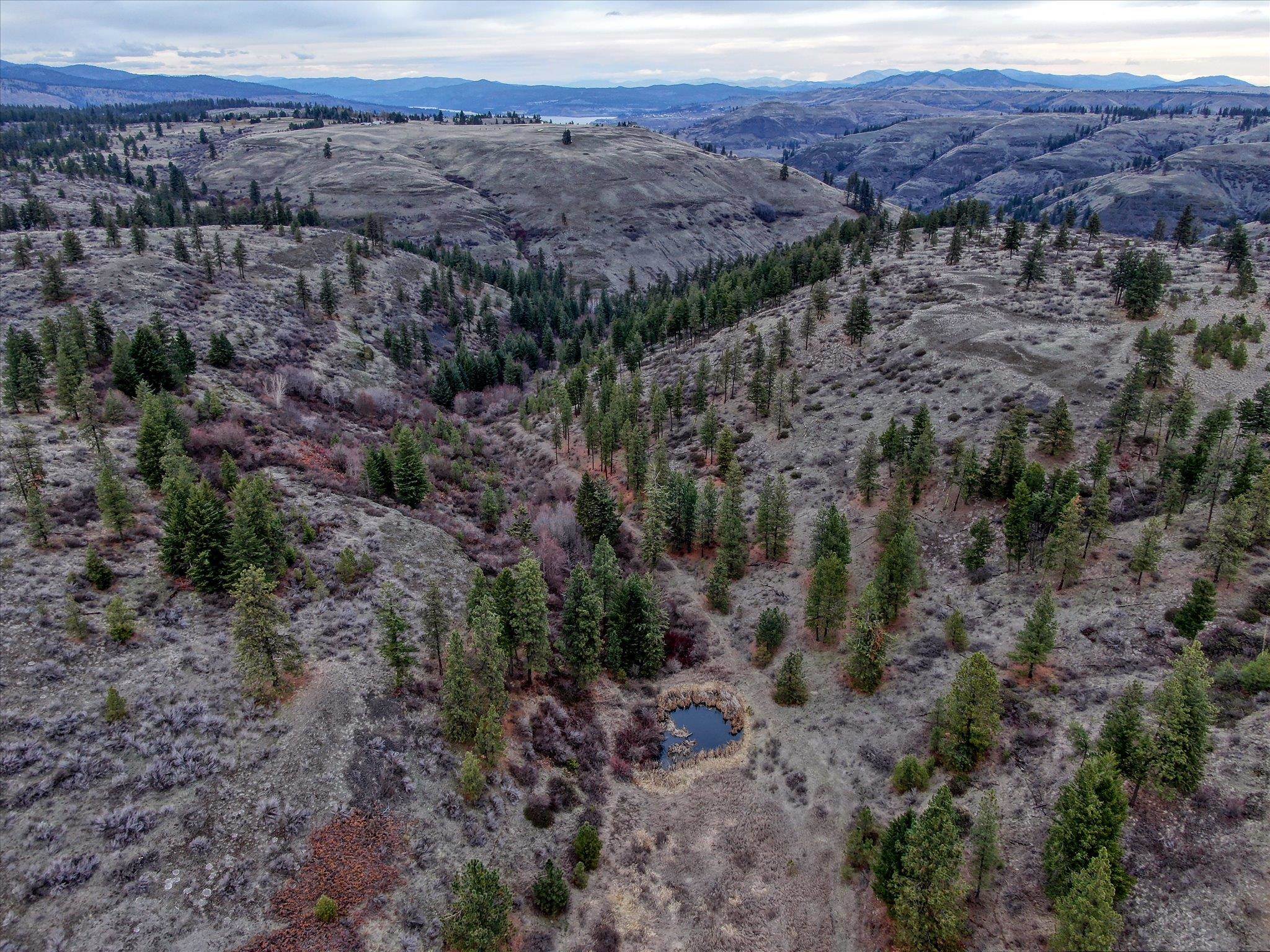 0 East Bachelor Prairie Road Creston, WA 99117 - Photo 5 of 20 Gallery Image 5