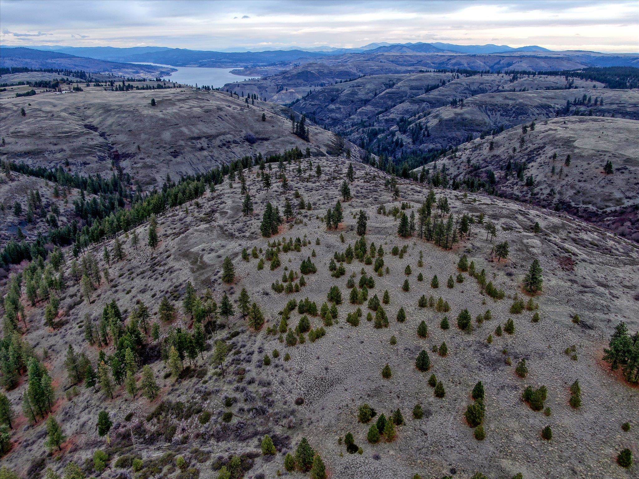0 East Bachelor Prairie Road Creston, WA 99117 - Photo 6 of 20 Gallery Image 6